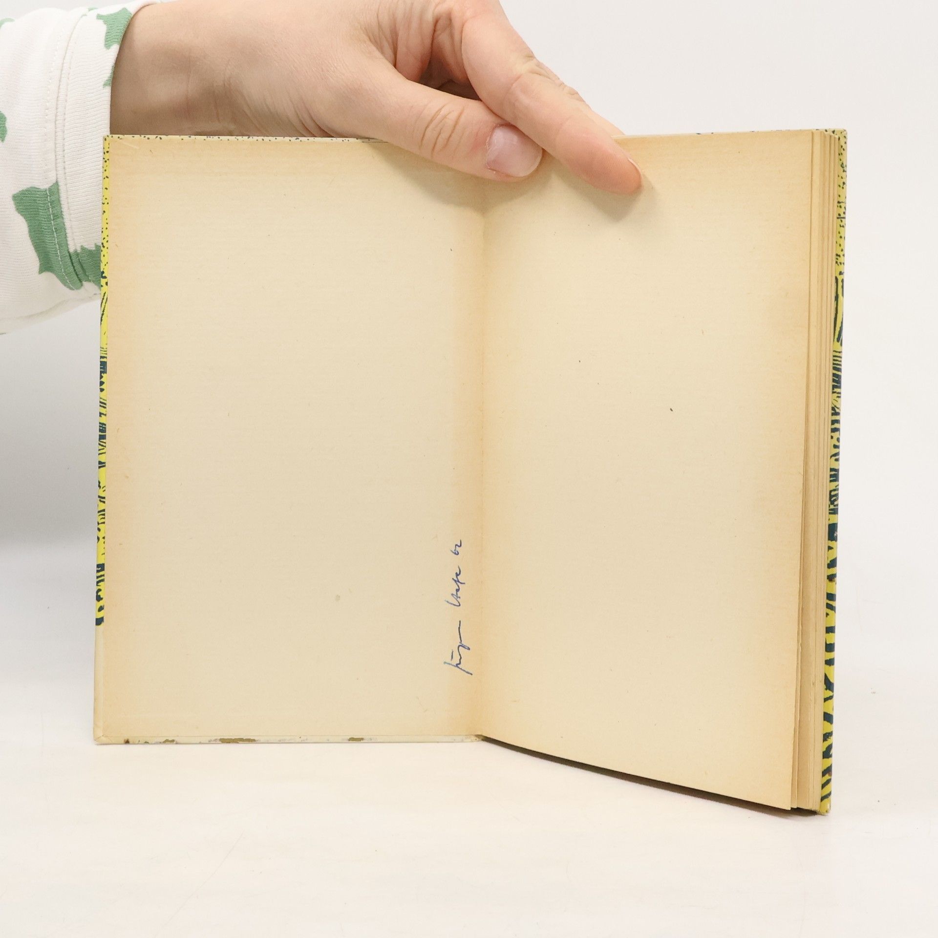Autorenkollektiv Vincent van Gogh: Sonne und Erde / Zeichnungen