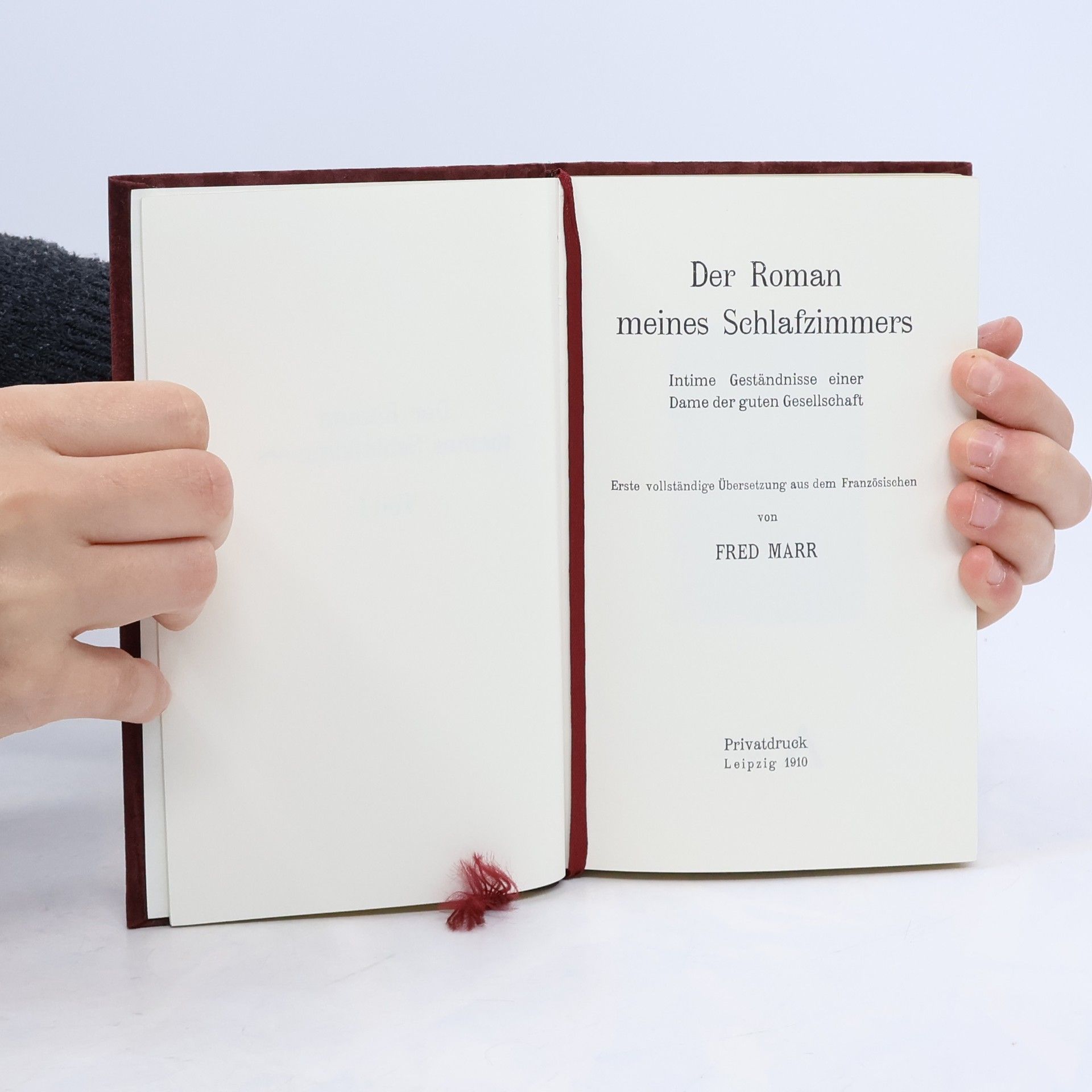 Fred Marr Der Roman meines Schlafzimmers