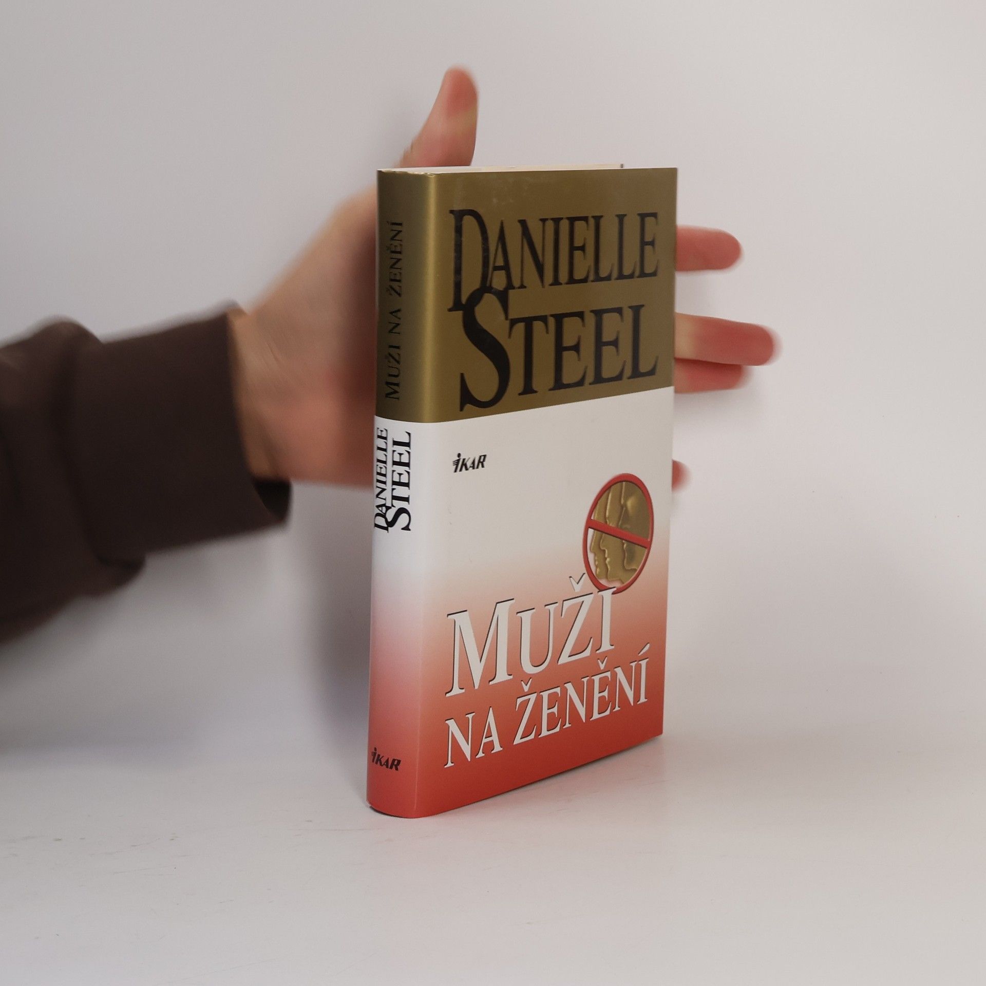 Danielle Steel Muži na ženění