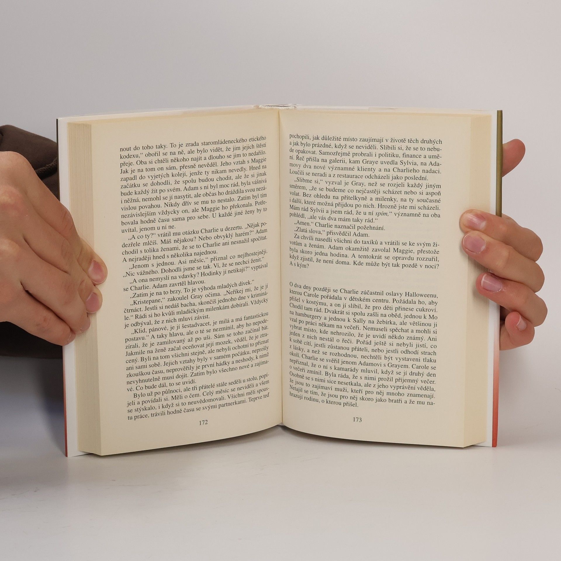 Danielle Steel Muži na ženění