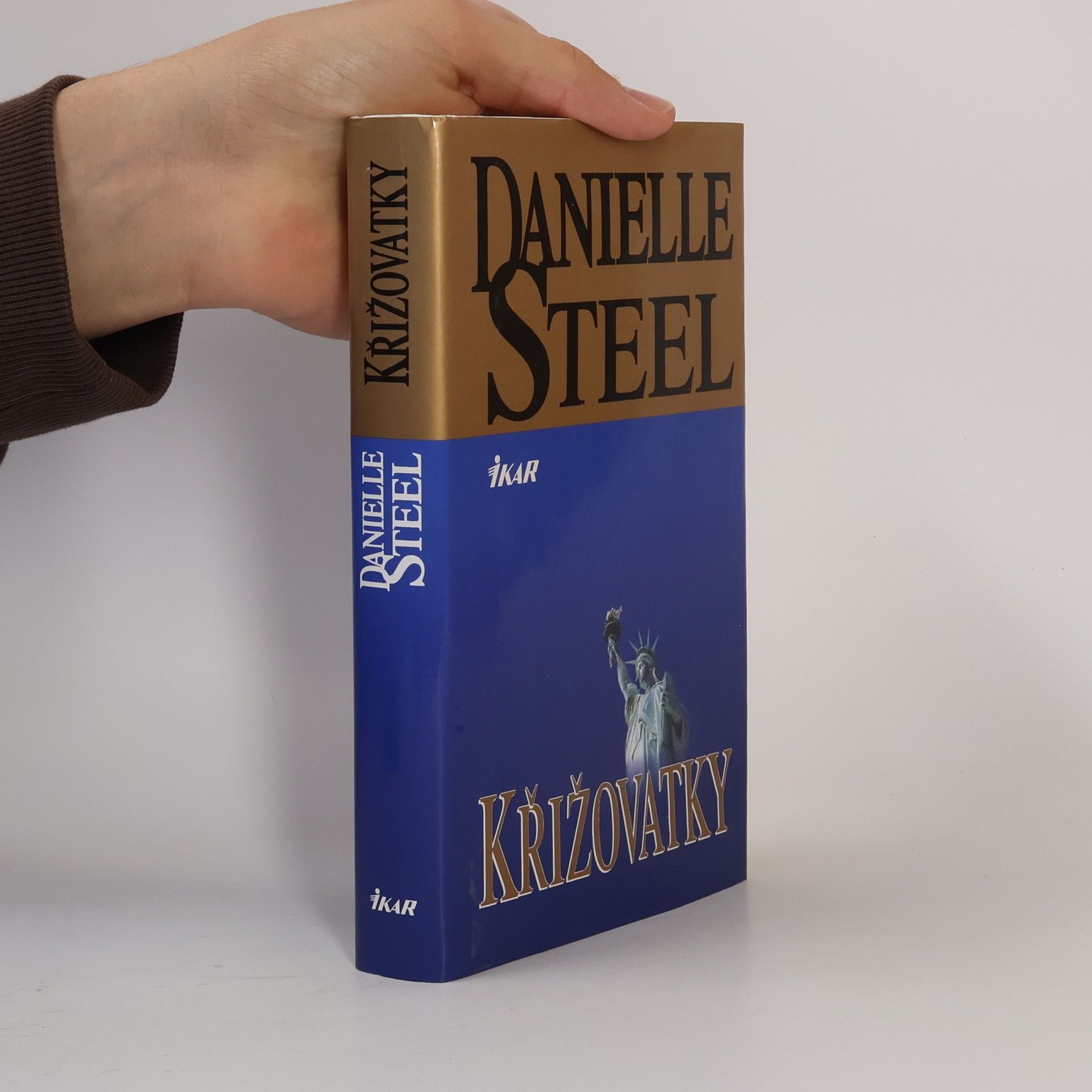 Danielle Steel Křižovatky