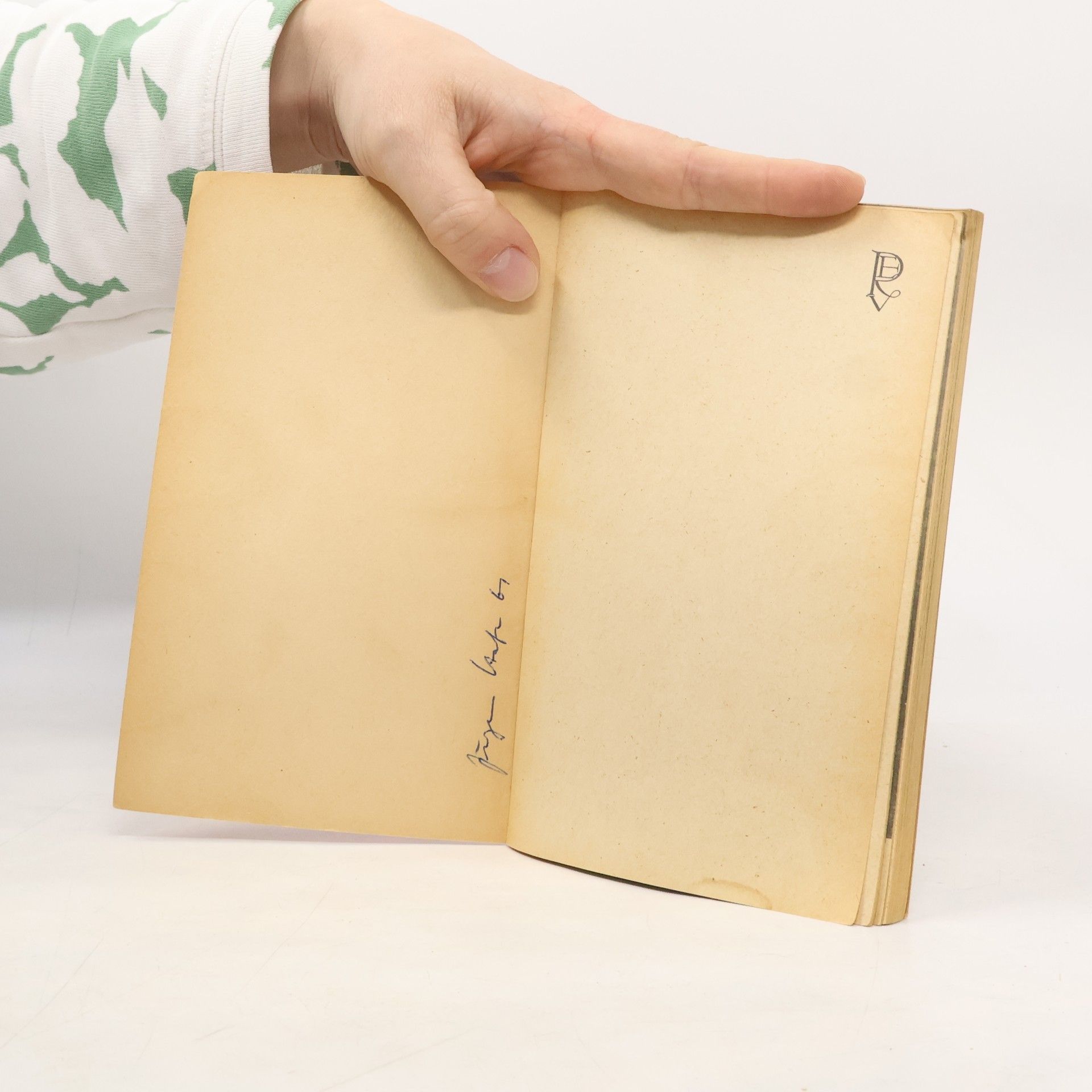 Kolektiv autorů Paul Klee in Selbstzeugnissen und Bilddokumenten