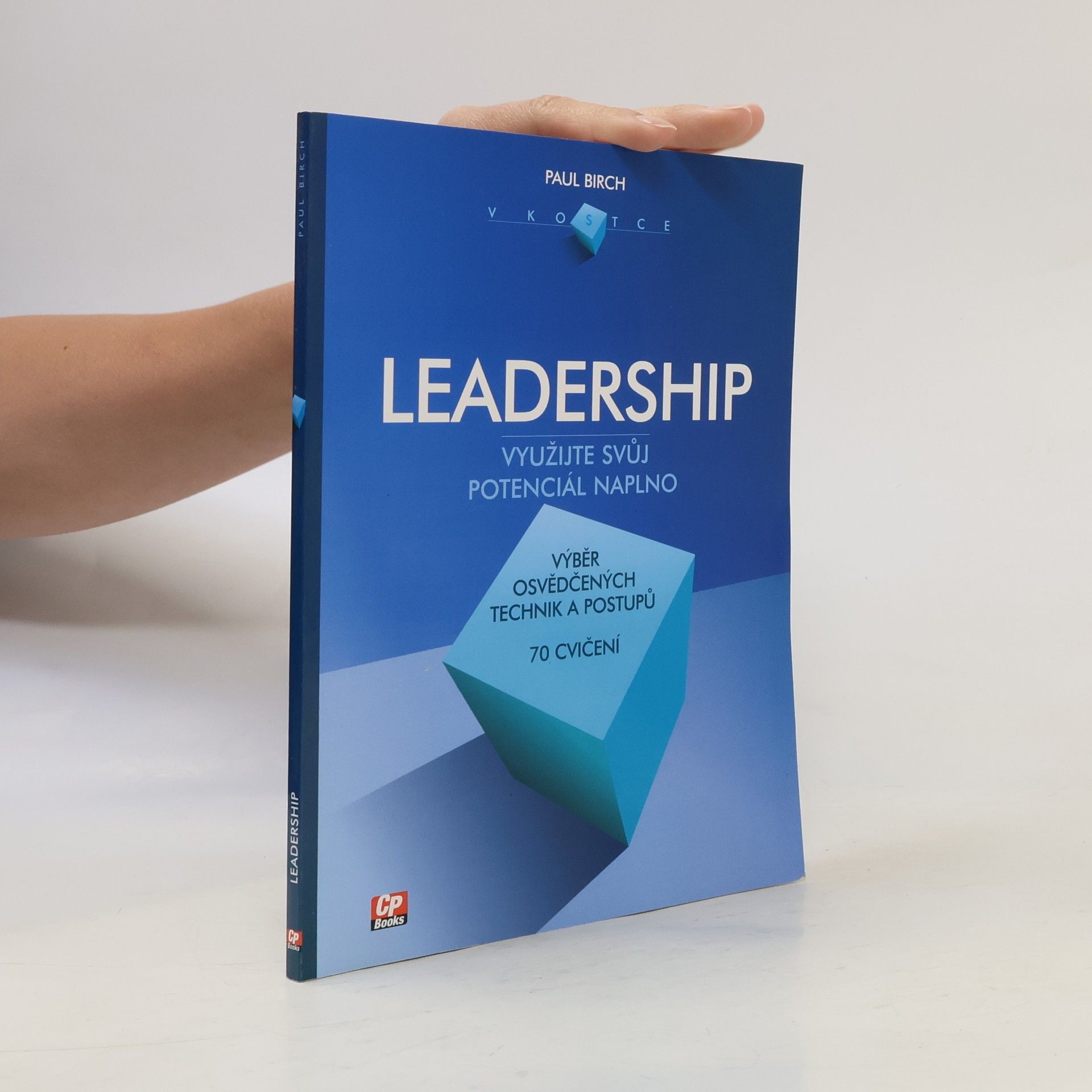 Paul Birch Leadership v kostce