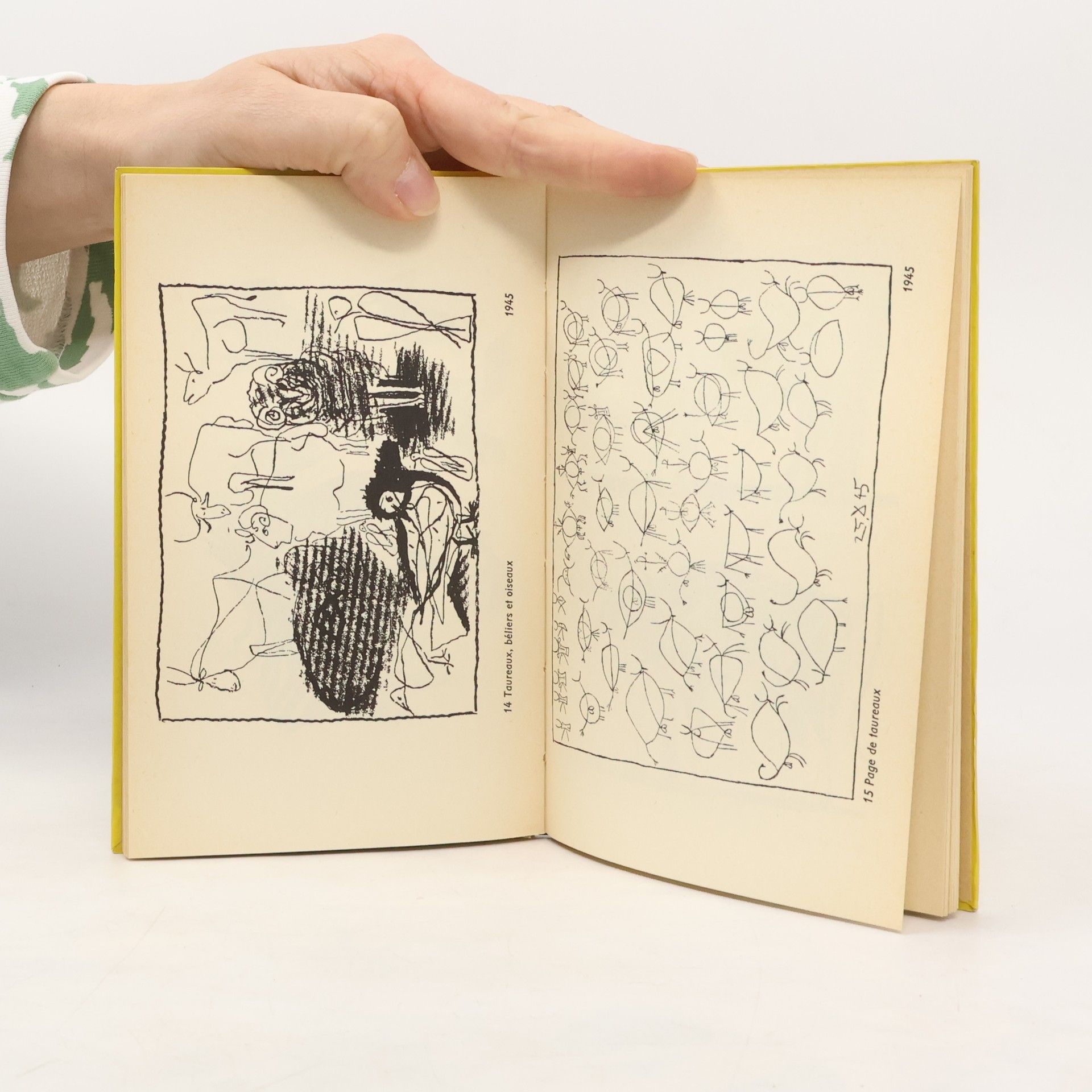 Autorenkollektiv Picasso - Lithographien
