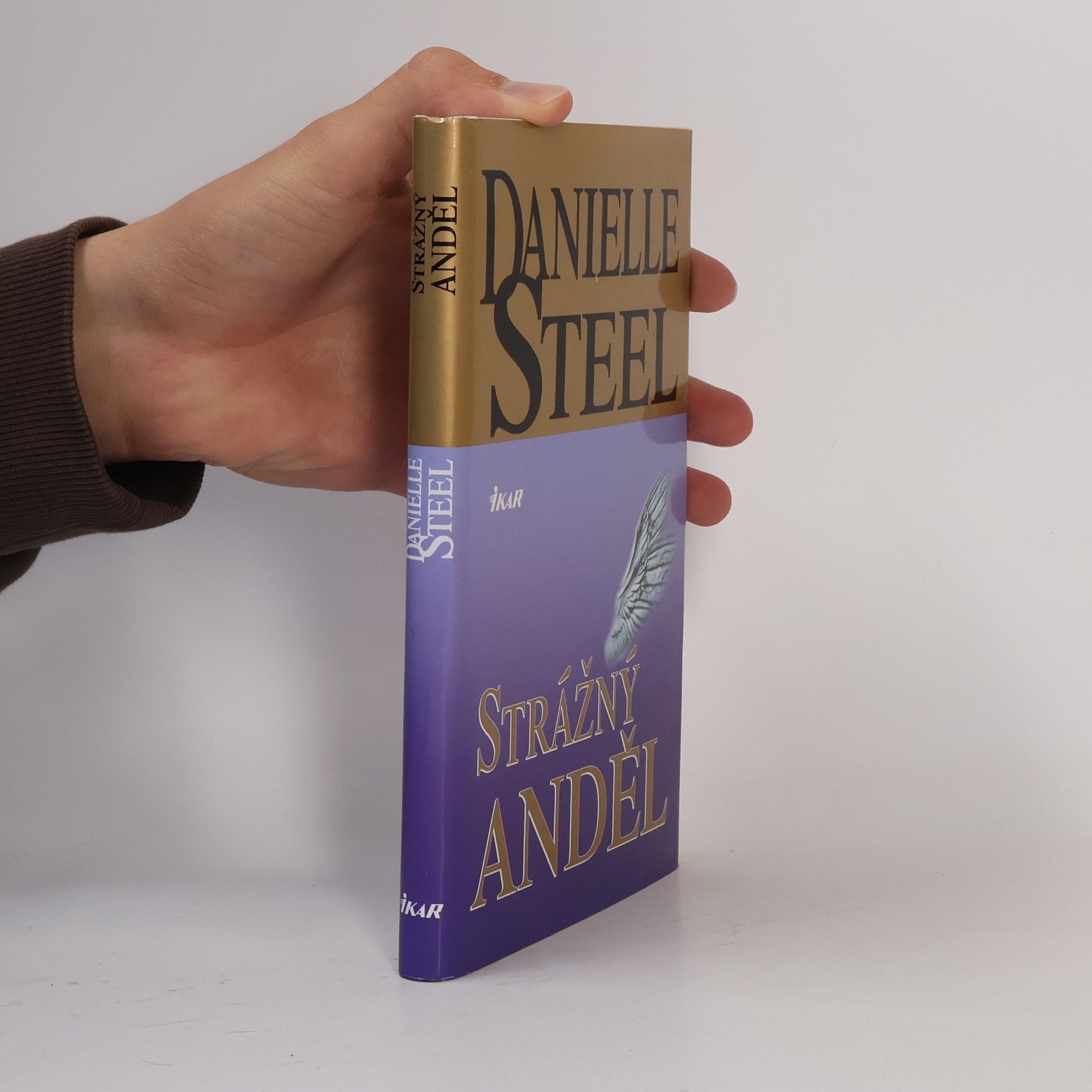 Danielle Steel Strážný anděl