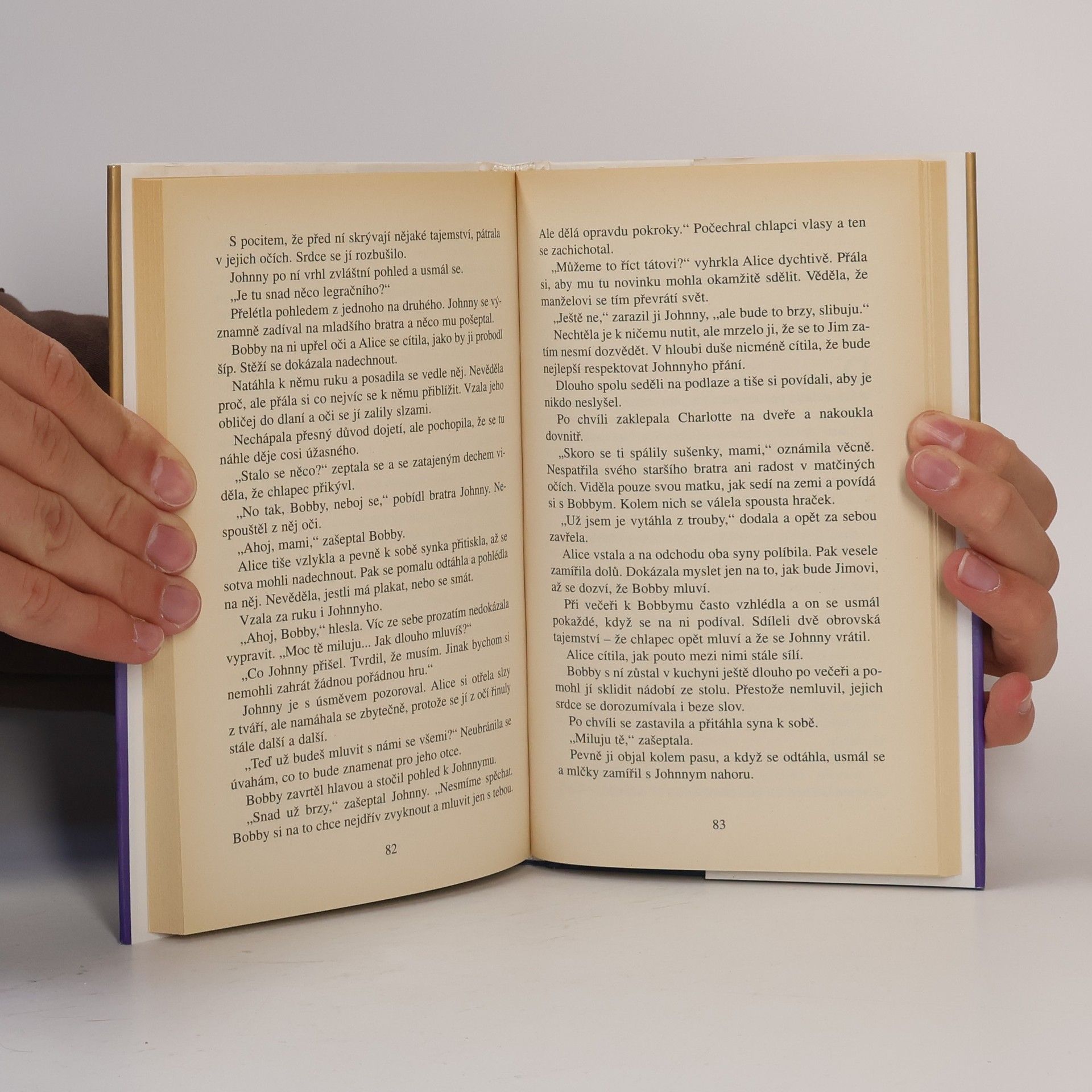 Danielle Steel Strážný anděl