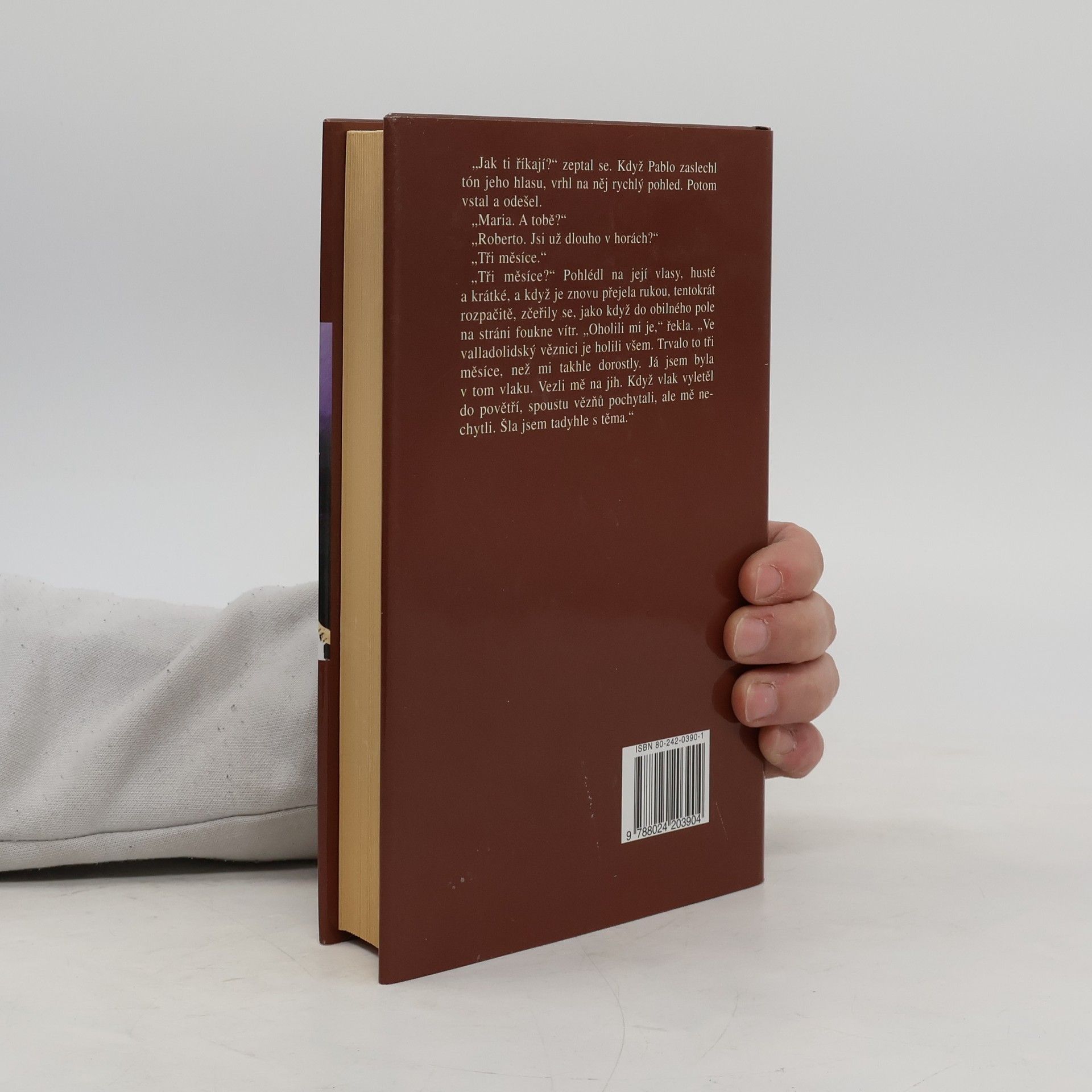 Ernest Hemingway Komu zvoní hrana