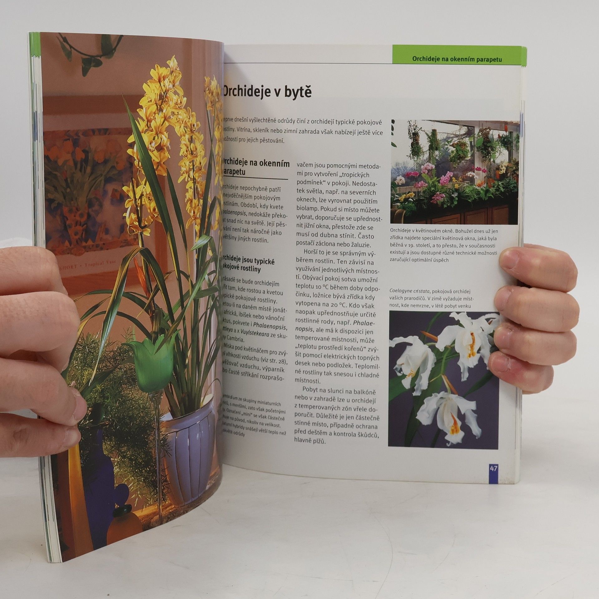 Jörn Pinske Orchideje