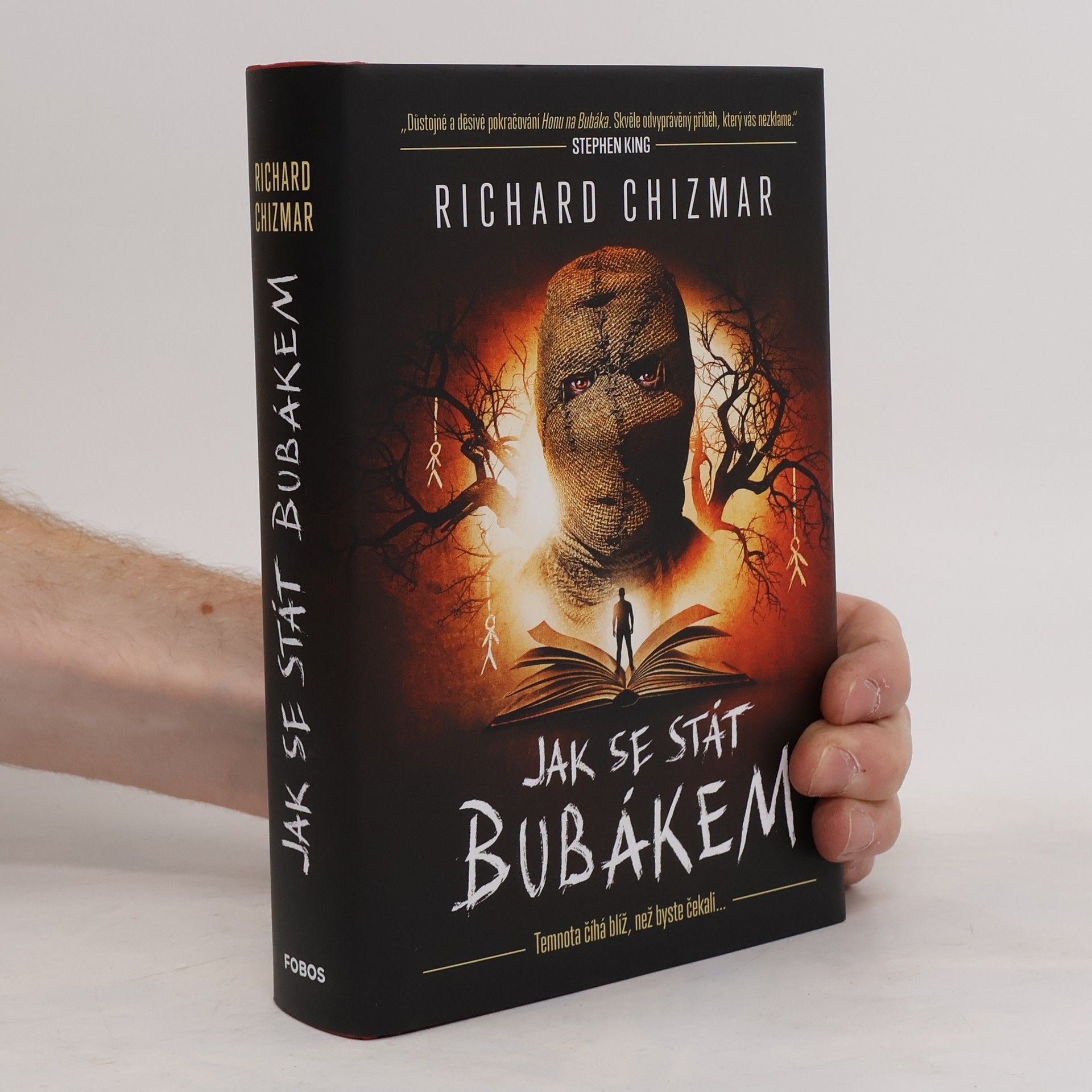 Jak se stát Bubákem