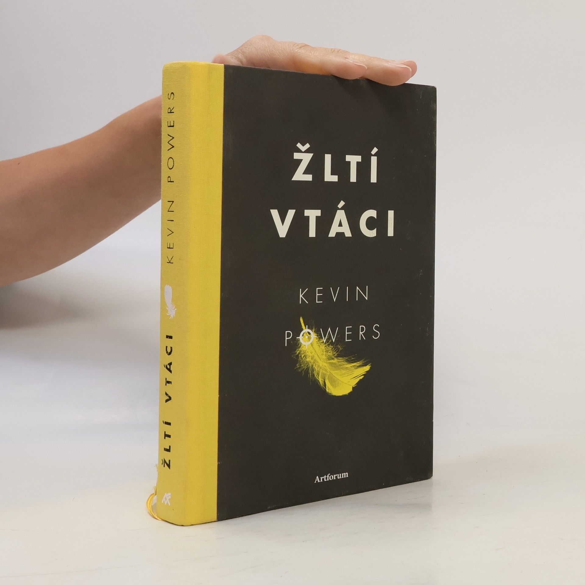 Kevin Powers Žltí vtáci