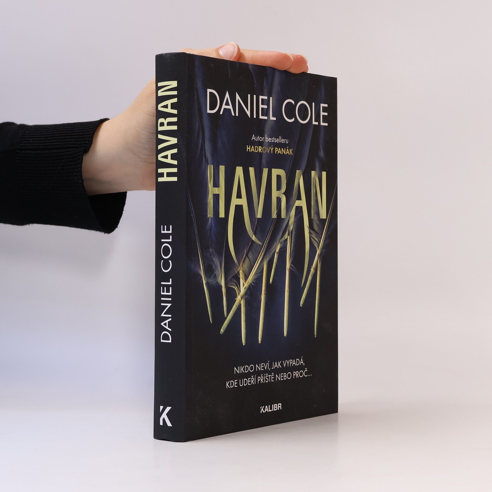 Daniel Cole Havran