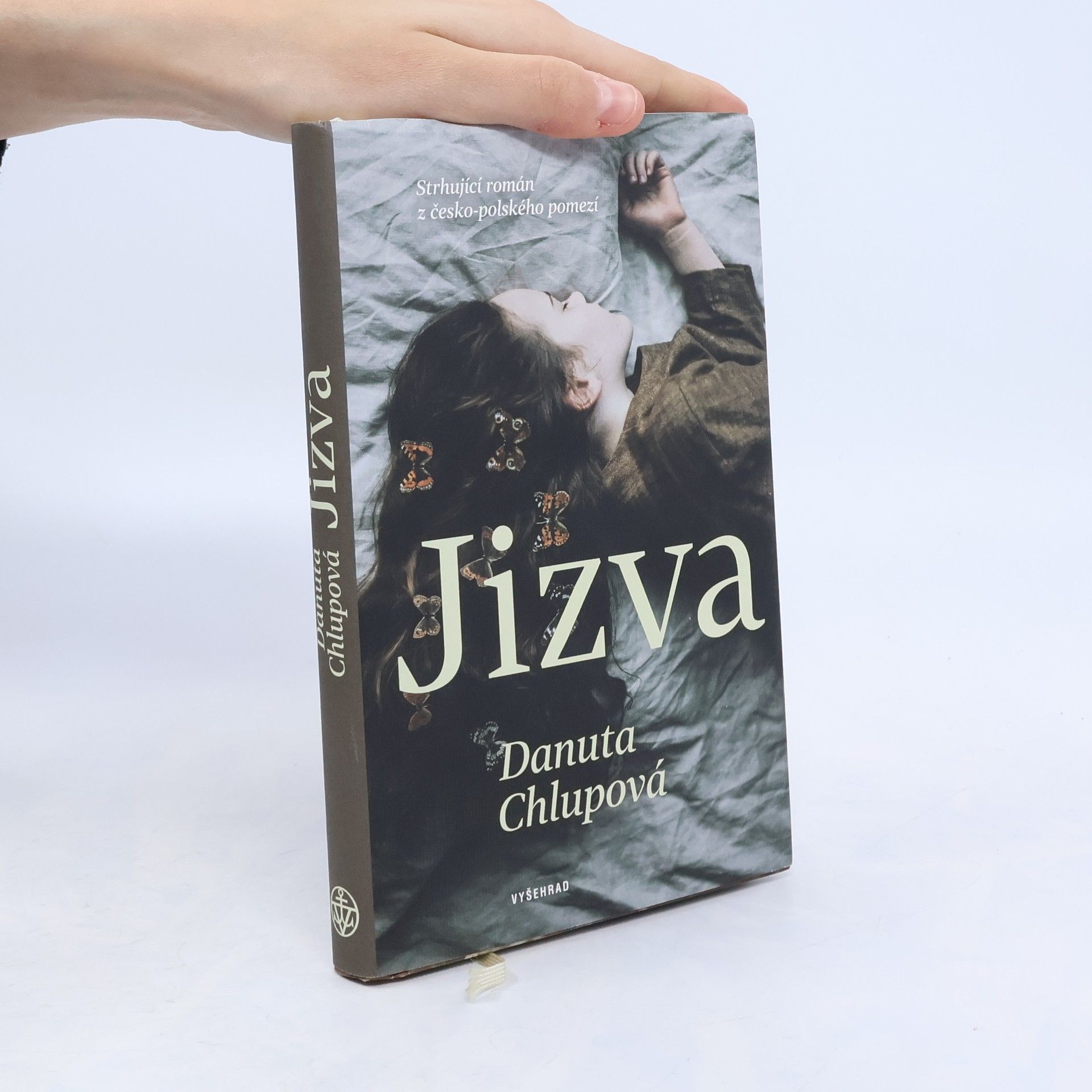 Danuta Chlupová Jizva
