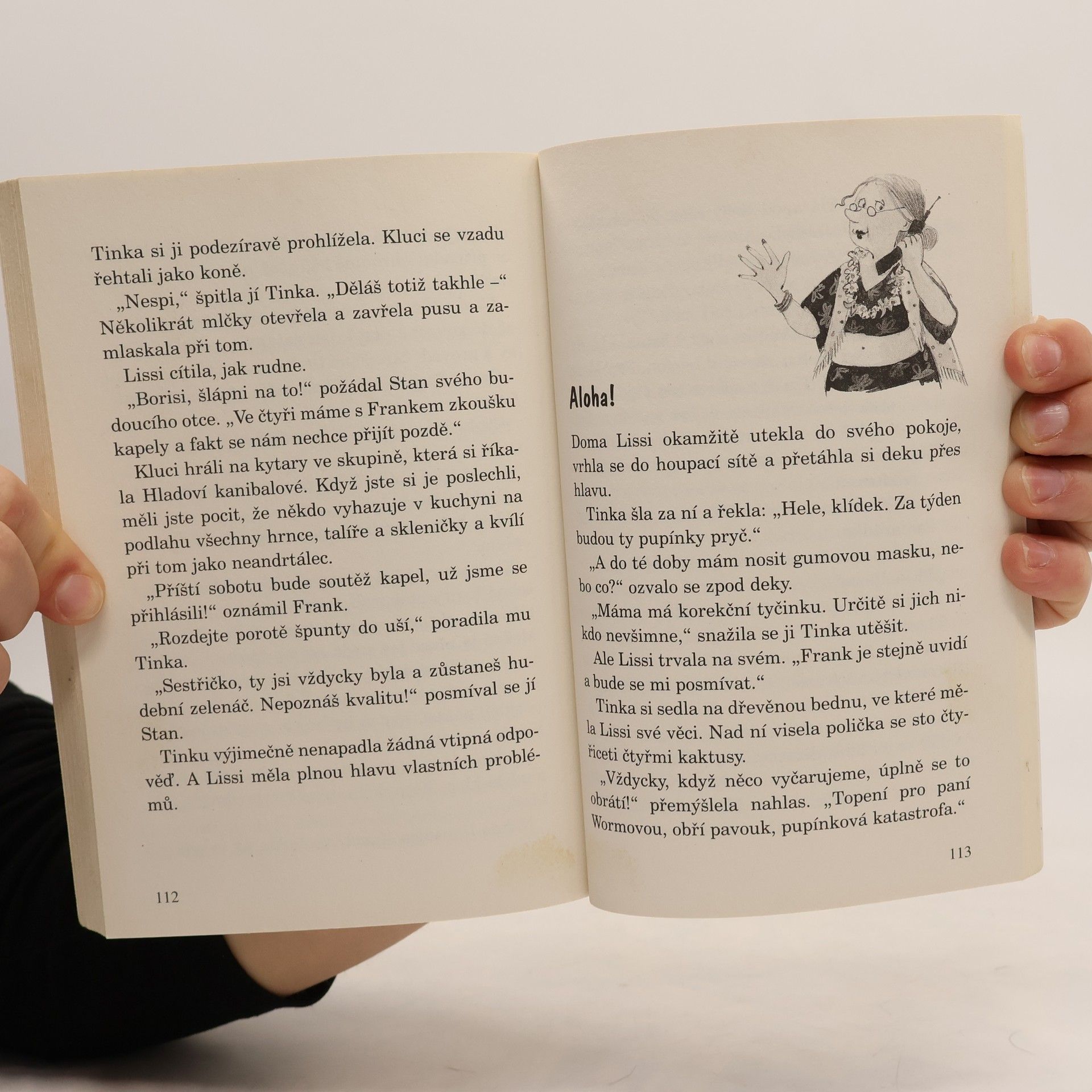 Thomas Brezina Bráchové a jiné katastrofy