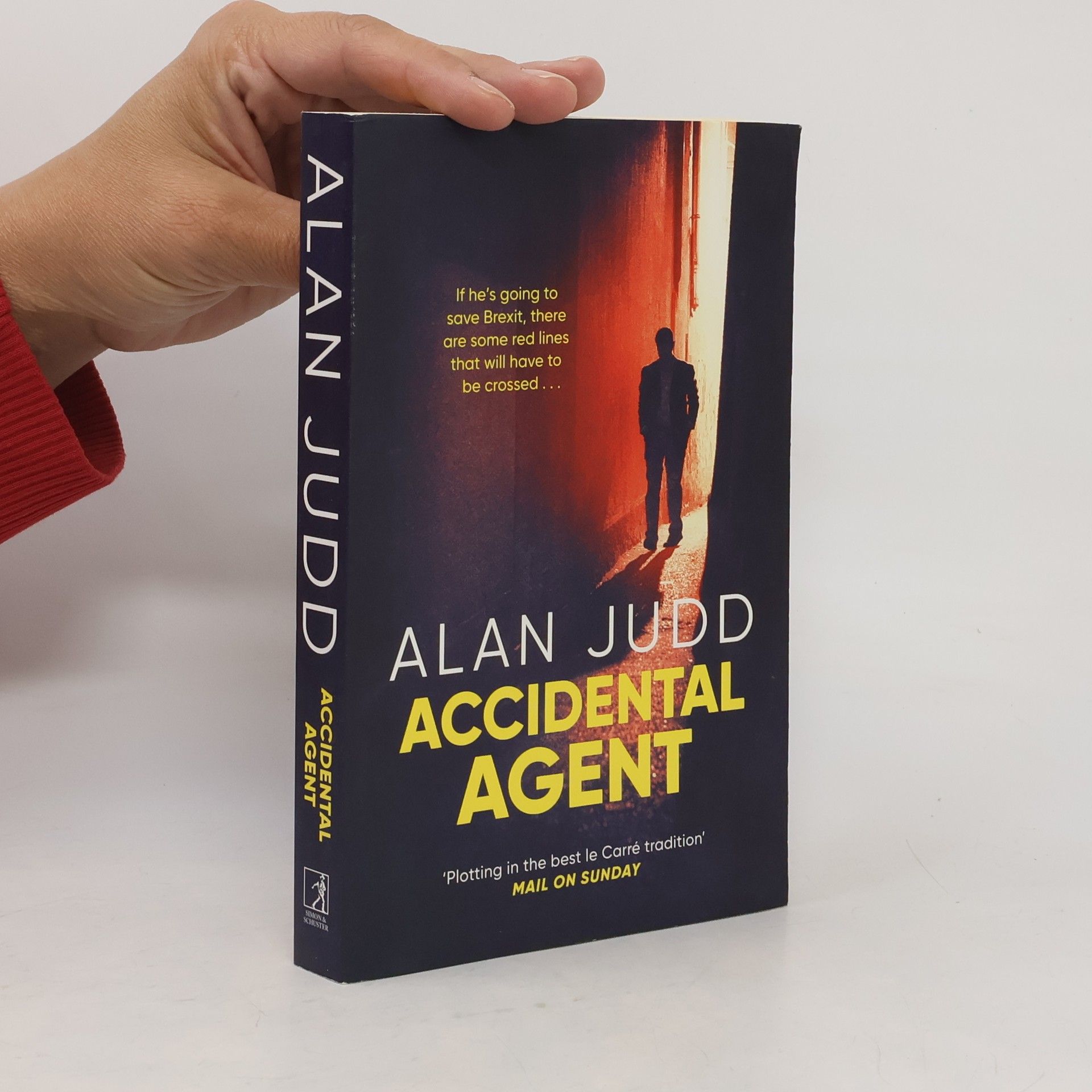 Alan Judd Accidental Agent