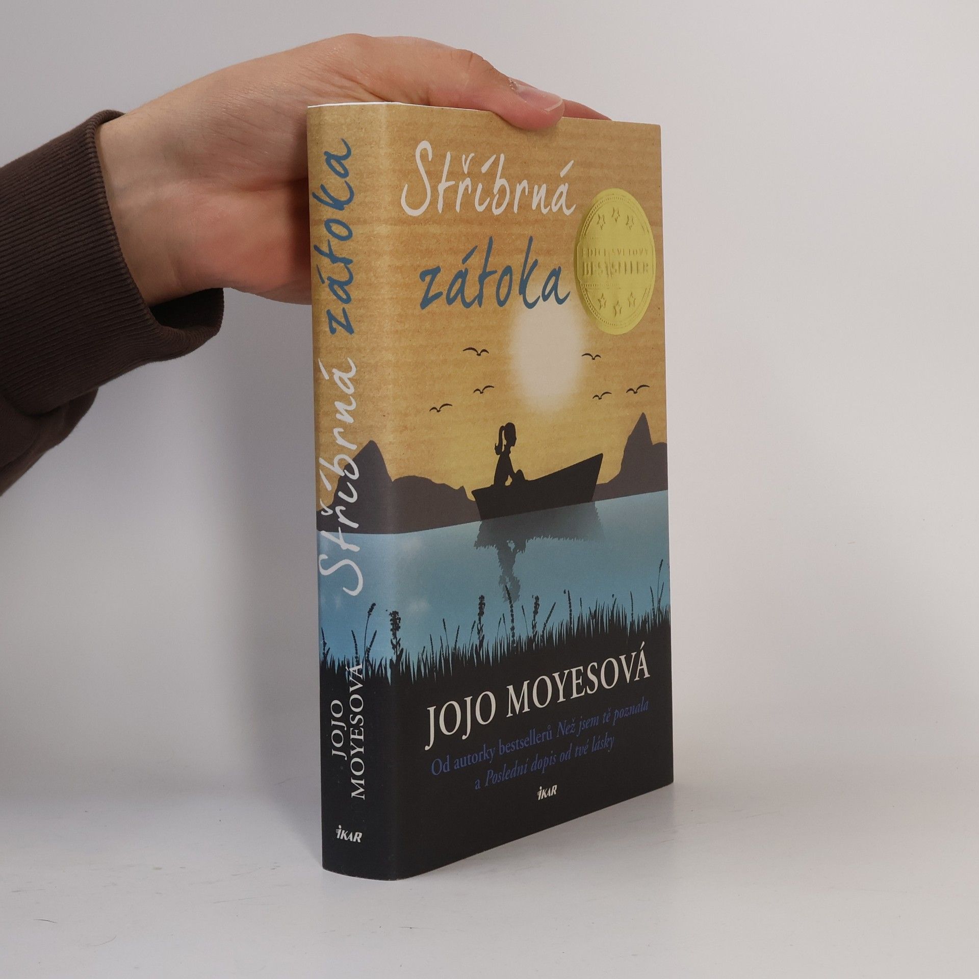 Jojo Moyes Stříbrná zátoka