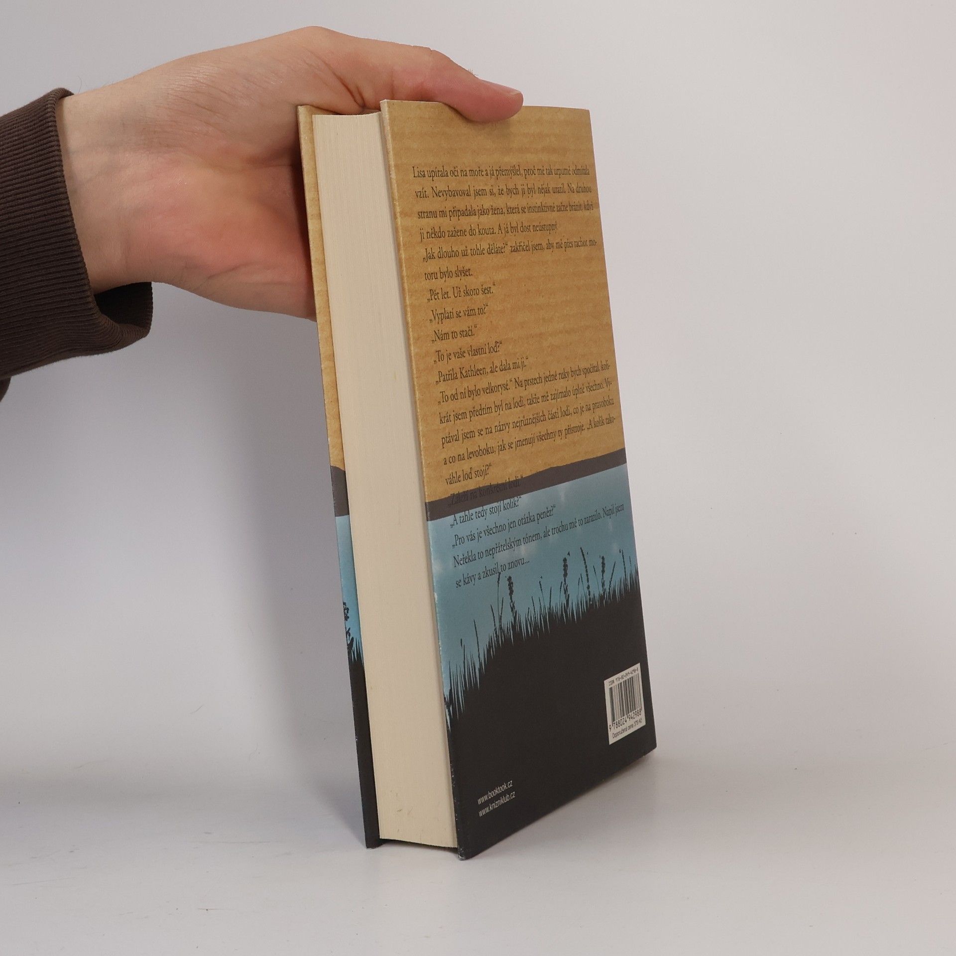 Jojo Moyes Stříbrná zátoka