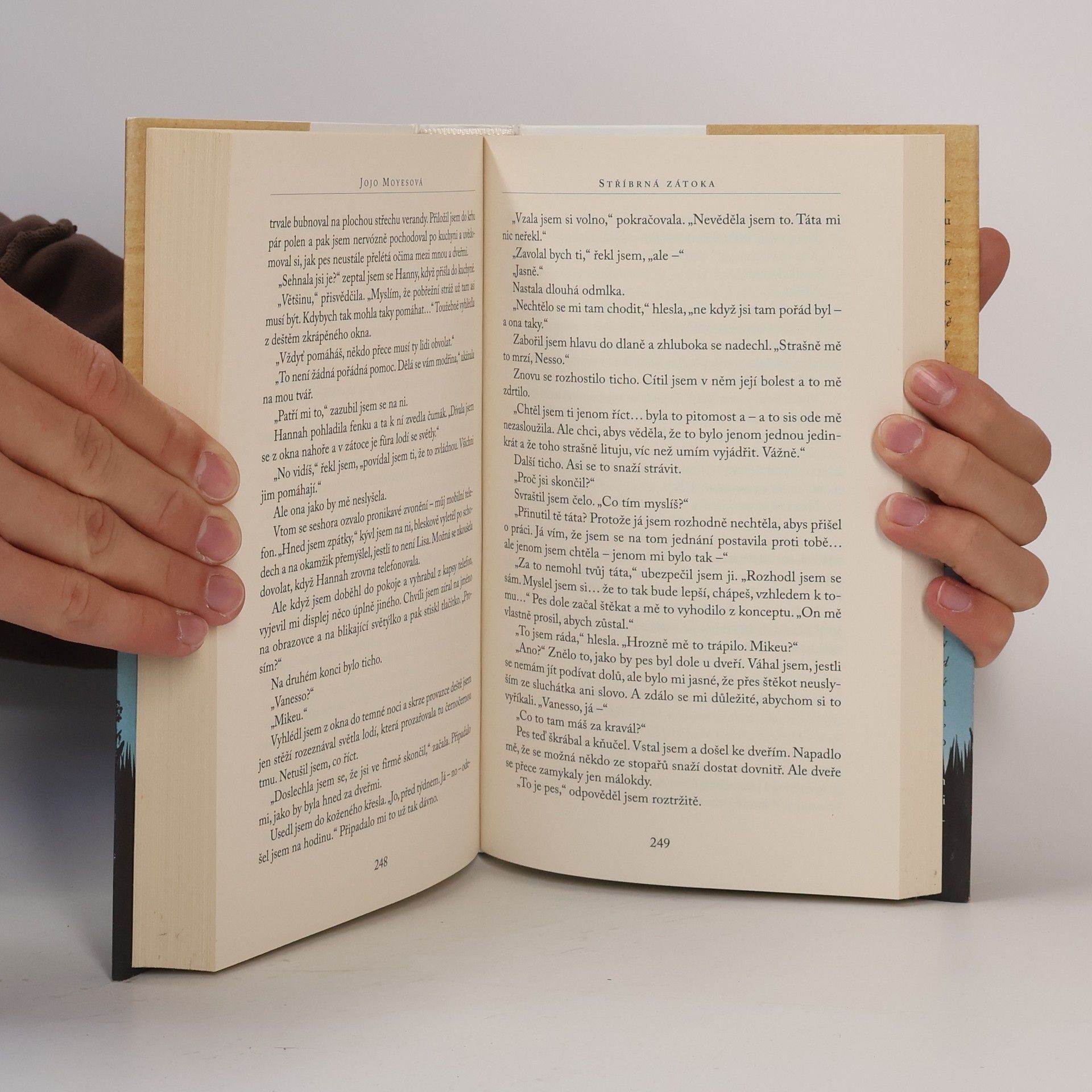 Jojo Moyes Stříbrná zátoka