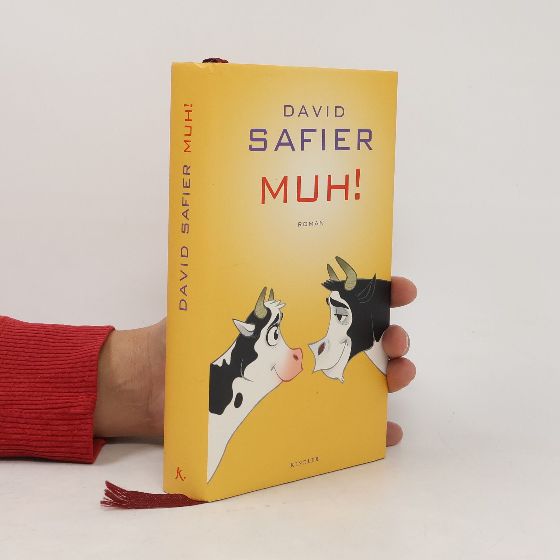 David Safier Muh!
