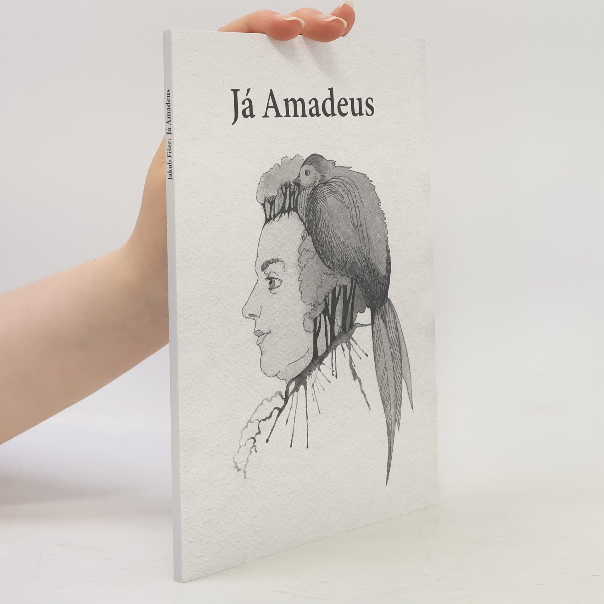 Jakub Fišer Já Amadeus