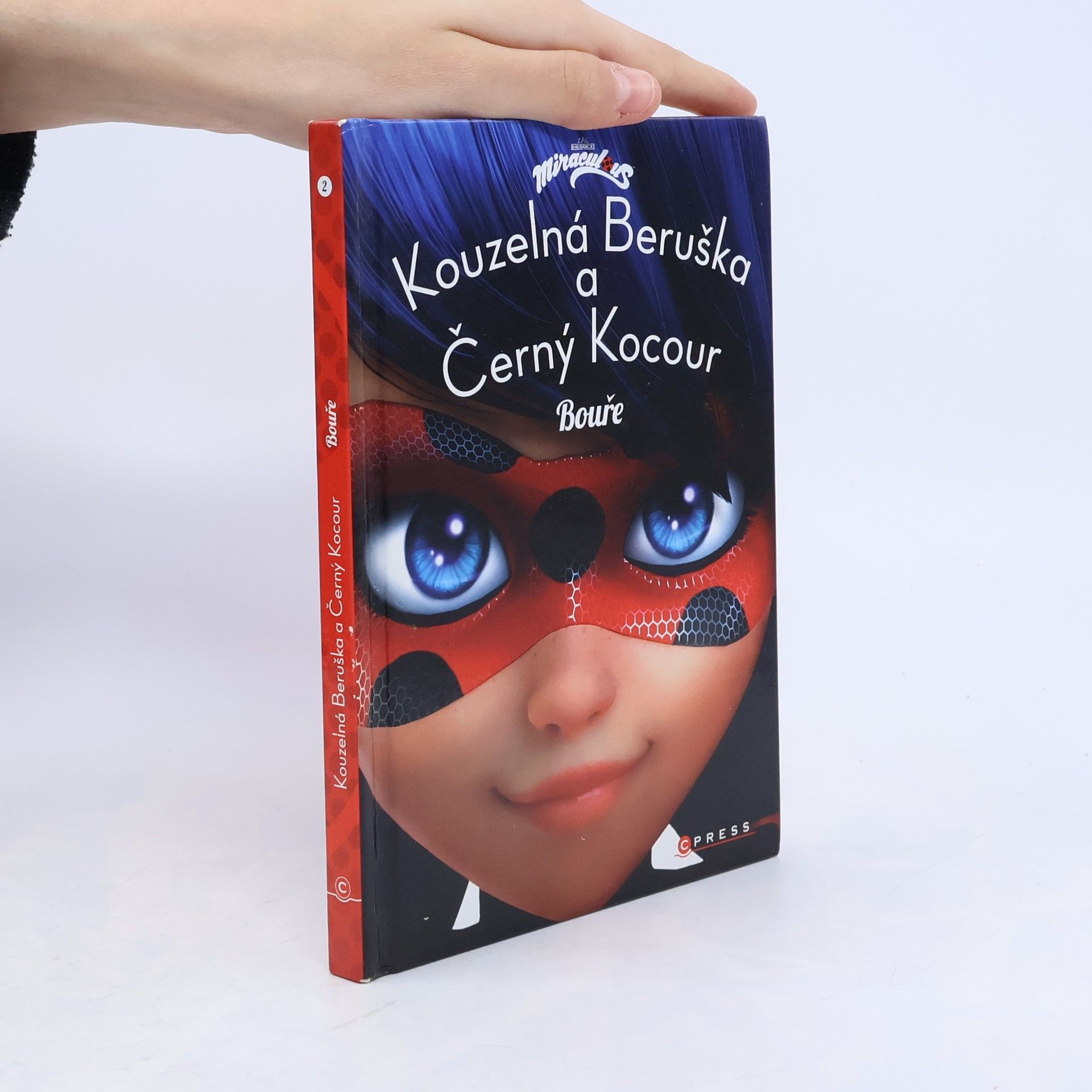 Kateřina Hošková Kouzelná Beruška a Černý Kocour. Bouře