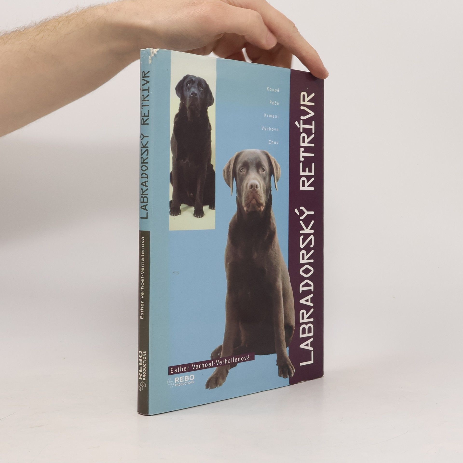 Berry Verhoef Labradorský retrívr
