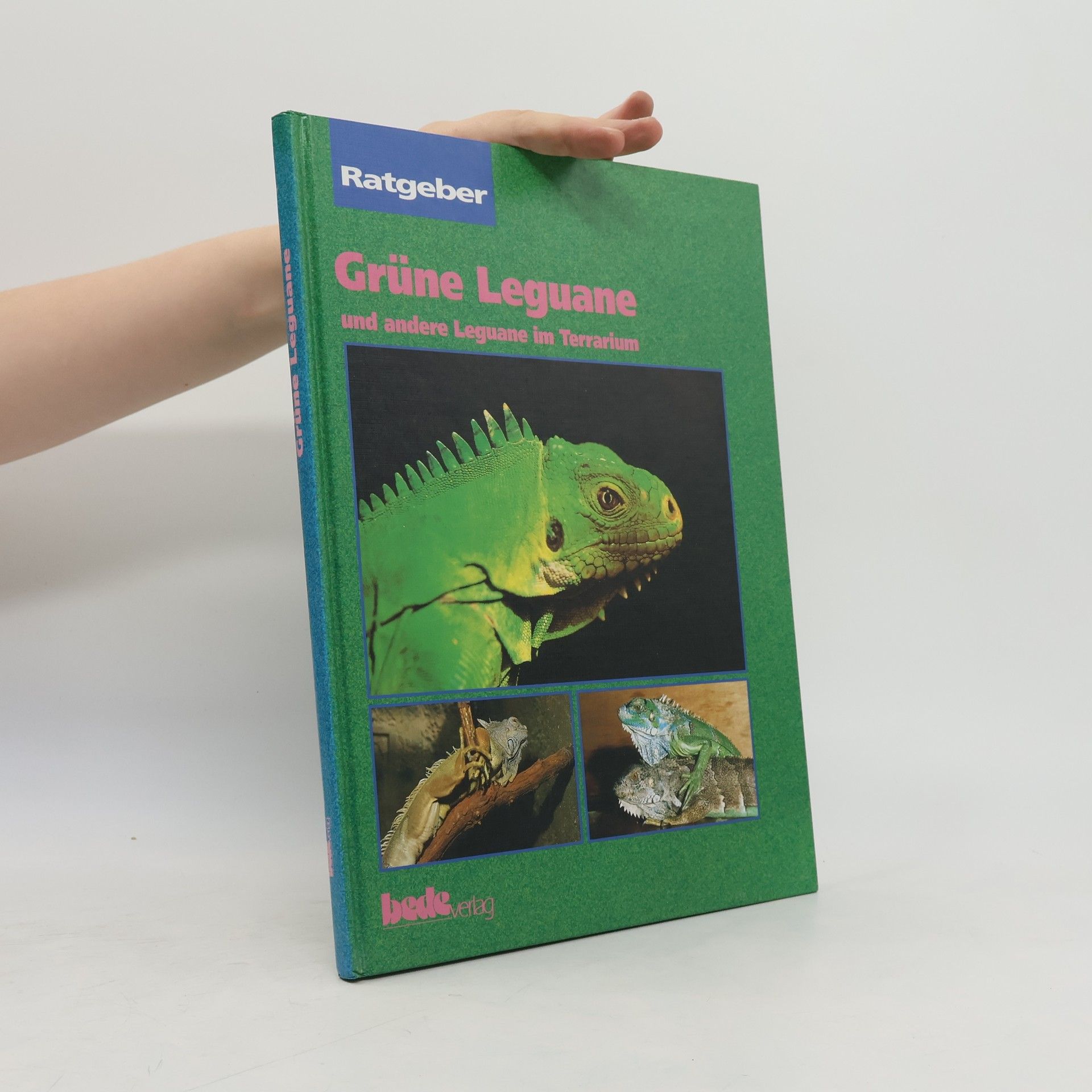 Shelly K. Ferrel Ratgeber: Grüne Leguane