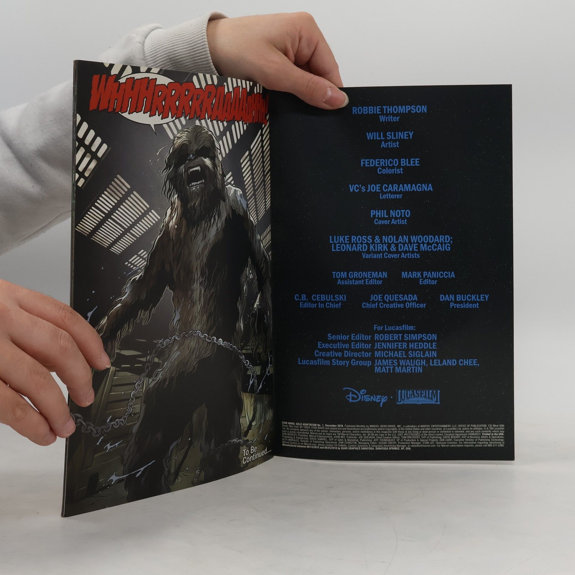 Collectif d'auteurs Solo. Star Wars 1