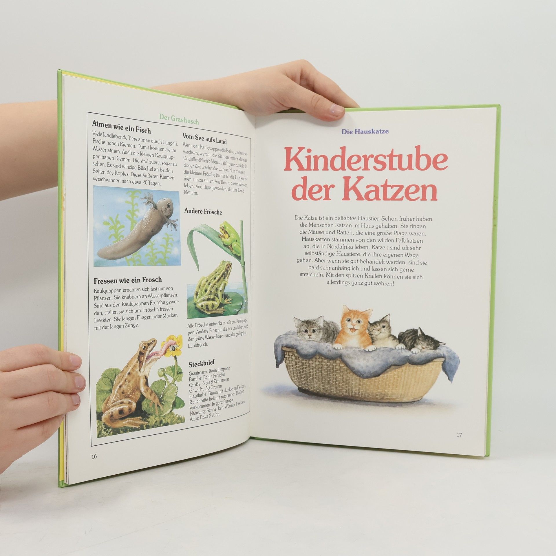Claudia Toll Tierkinder