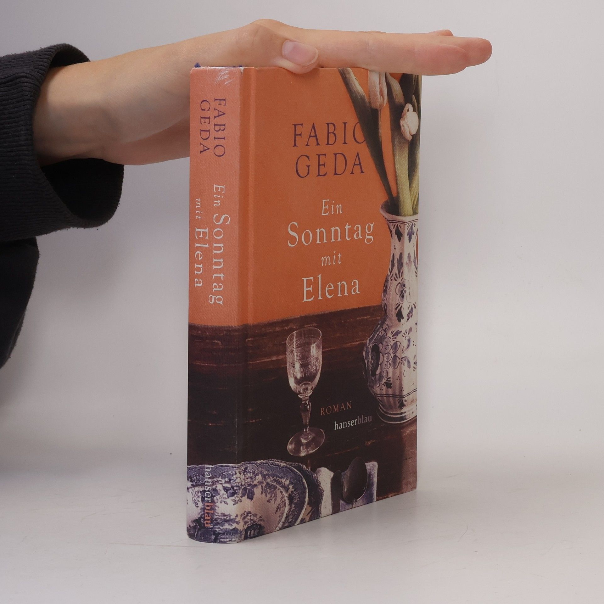 Fabio Geda Ein Sonntag mit Elena