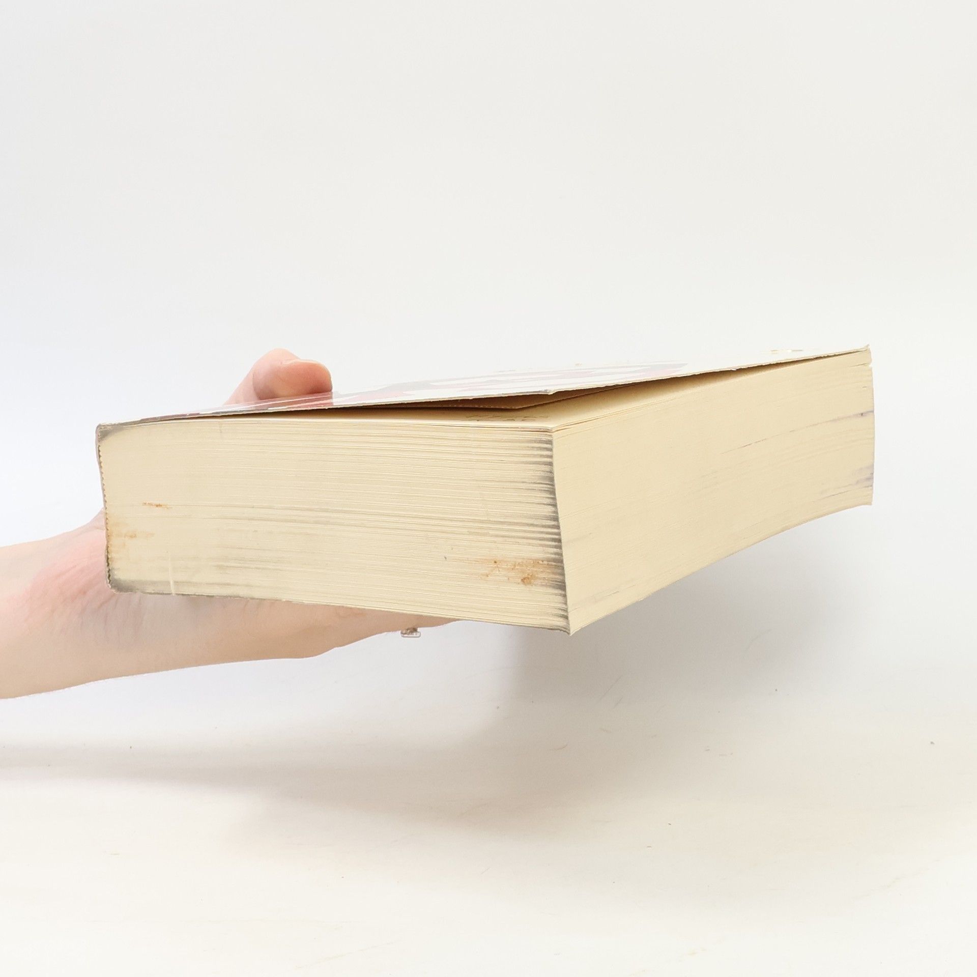 Luitpold A. Dorn Tagebuch des Konzils