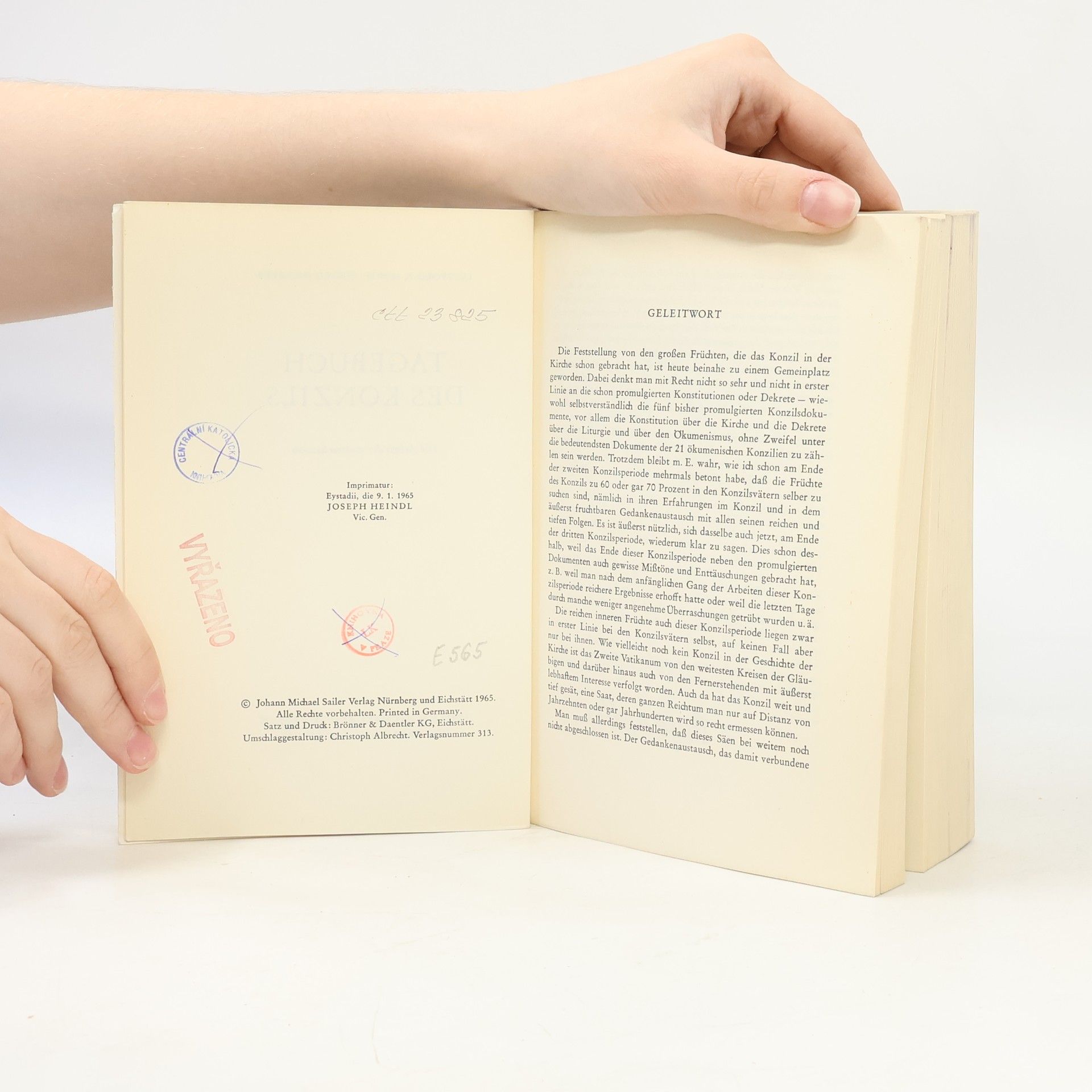 Luitpold A. Dorn Tagebuch des Konzils