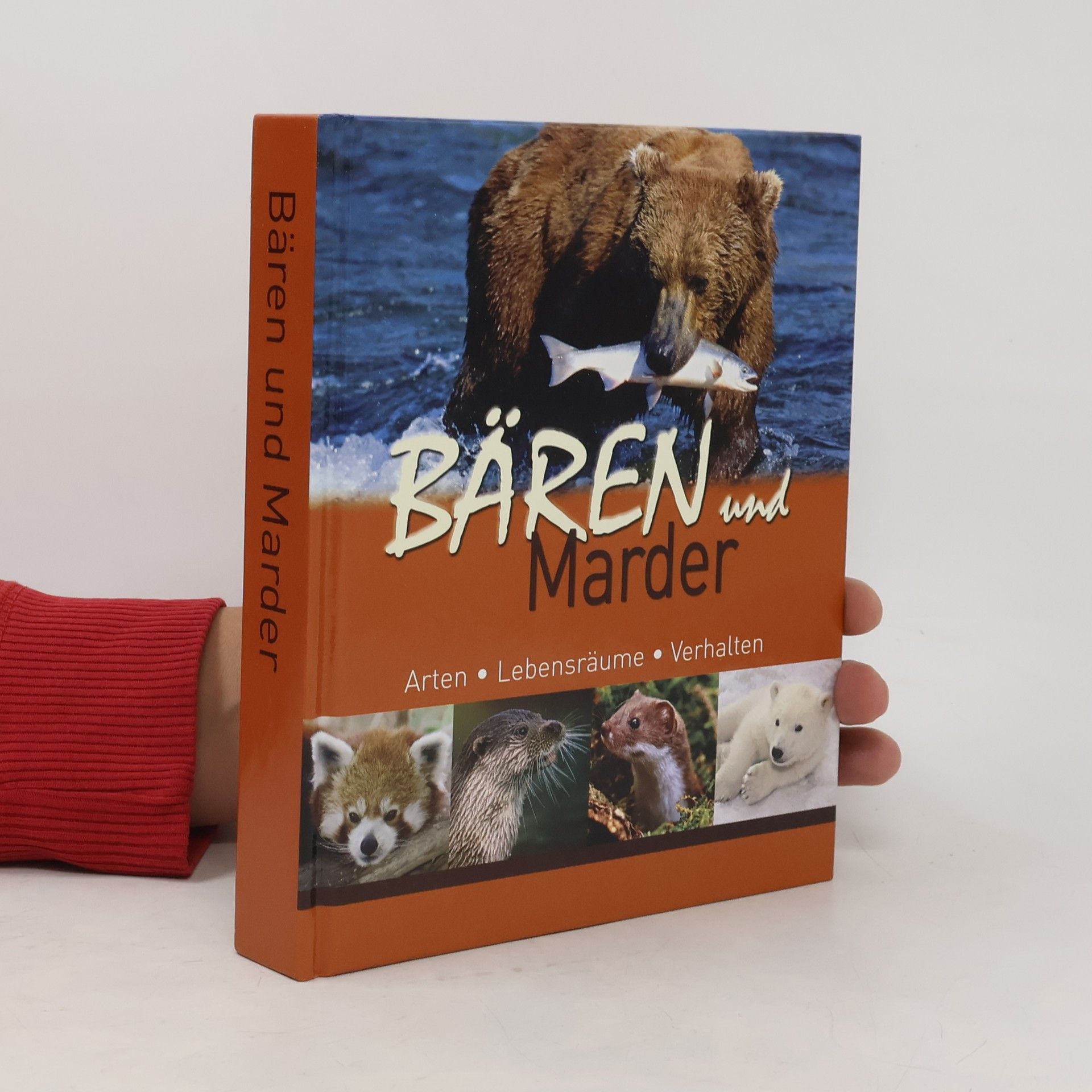 Kolektiv autorů Bären und Marder. Arten. Lebensräume. Verhalen
