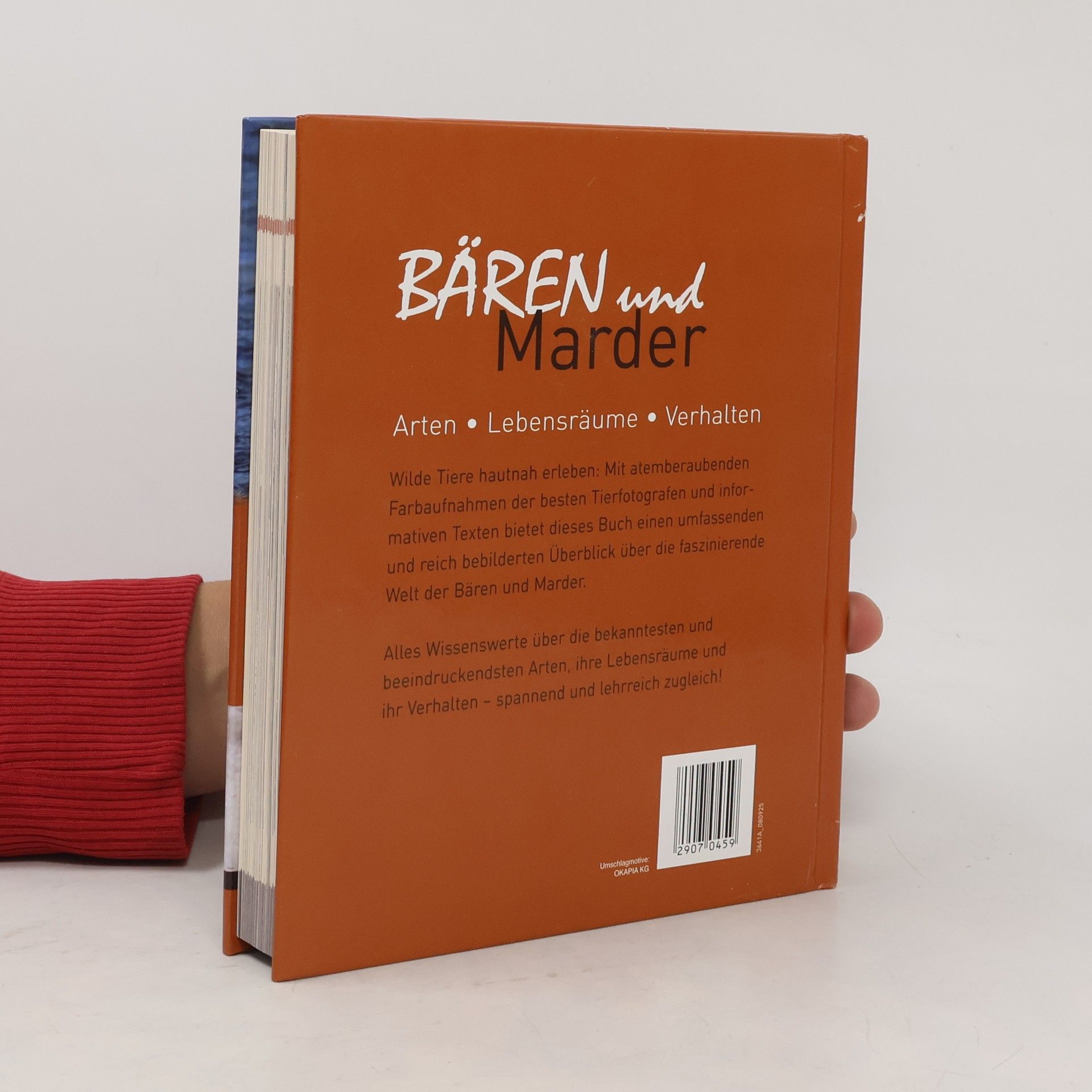 Autorenkollektiv Bären und Marder. Arten. Lebensräume. Verhalen