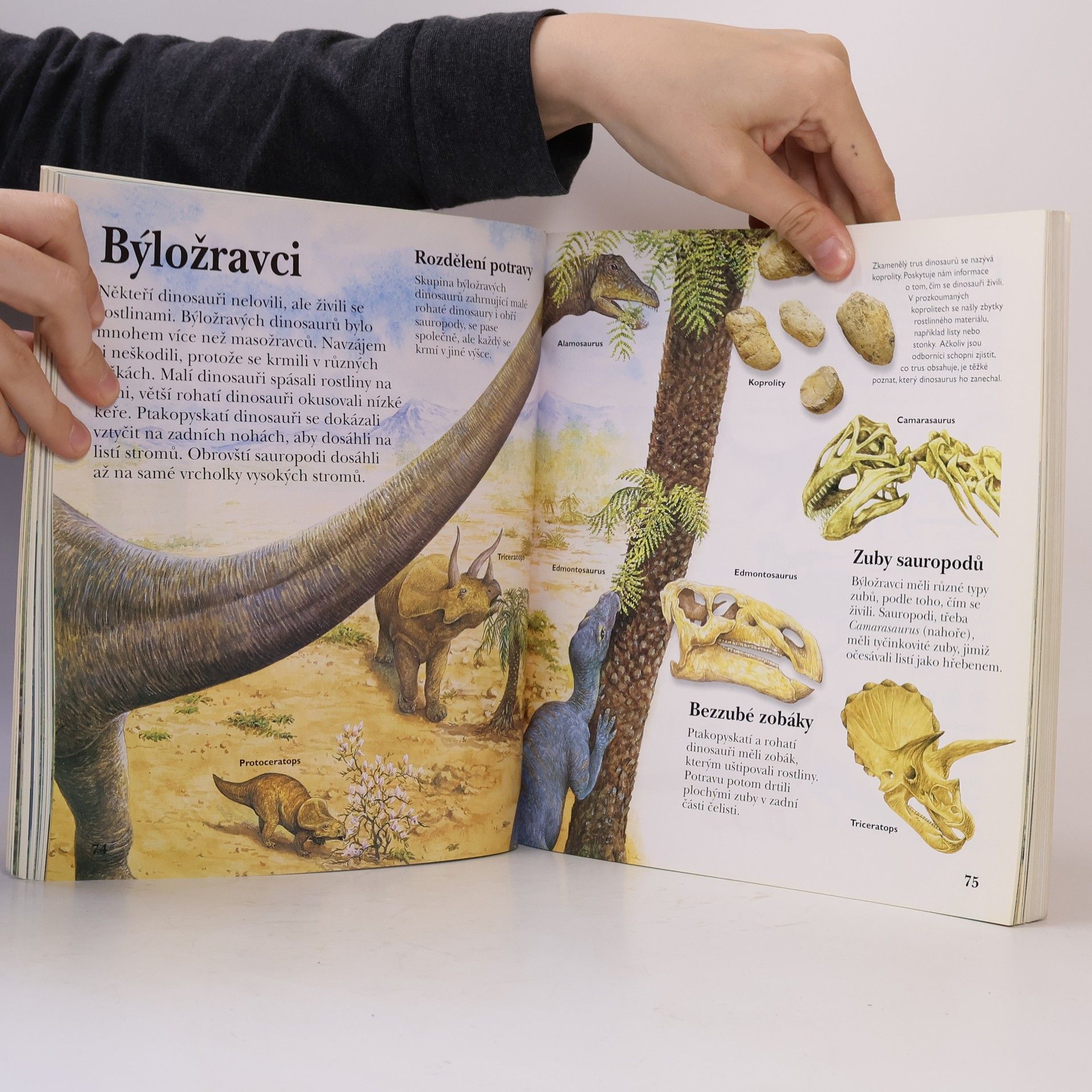 Jinny Johnson Dinosauři. Nalepovací encyklopedie