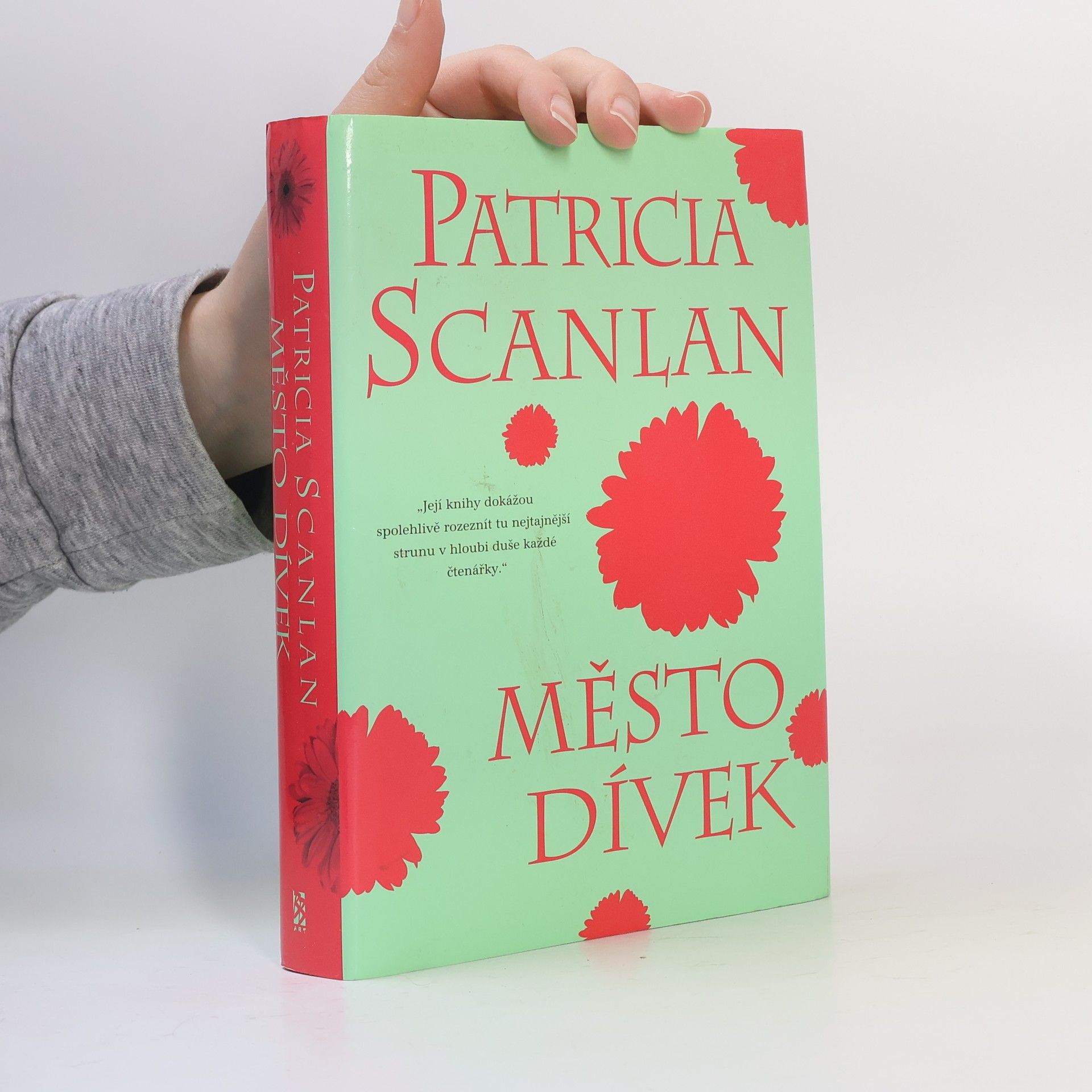 Patricia Scanlan Město dívek