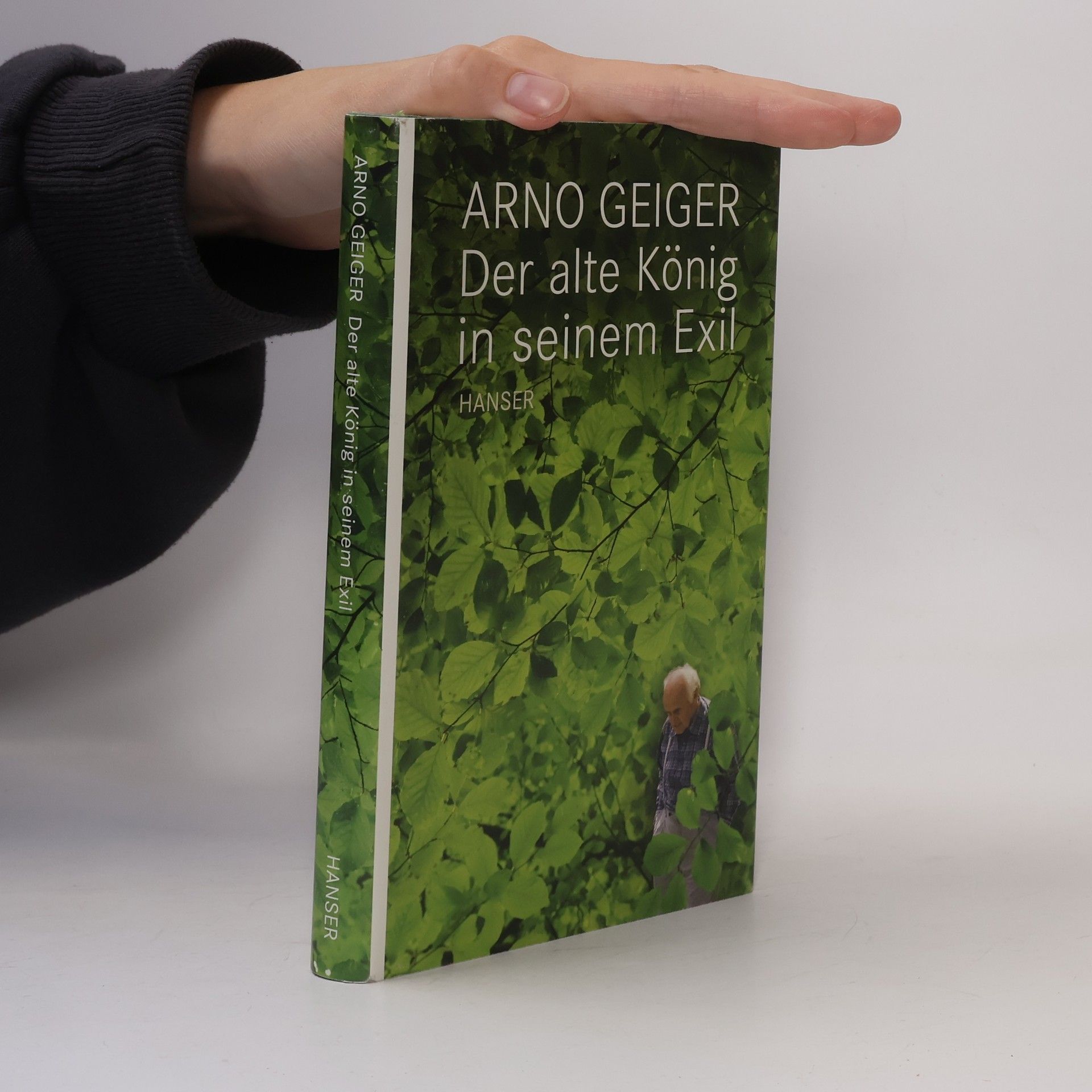Arno Geiger Der alte König in seinem Exil