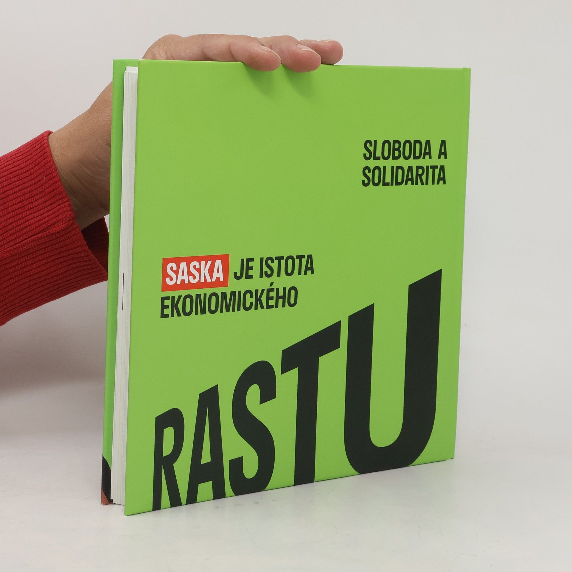 Autores varios Program ekonomického rastu. Volby 2023