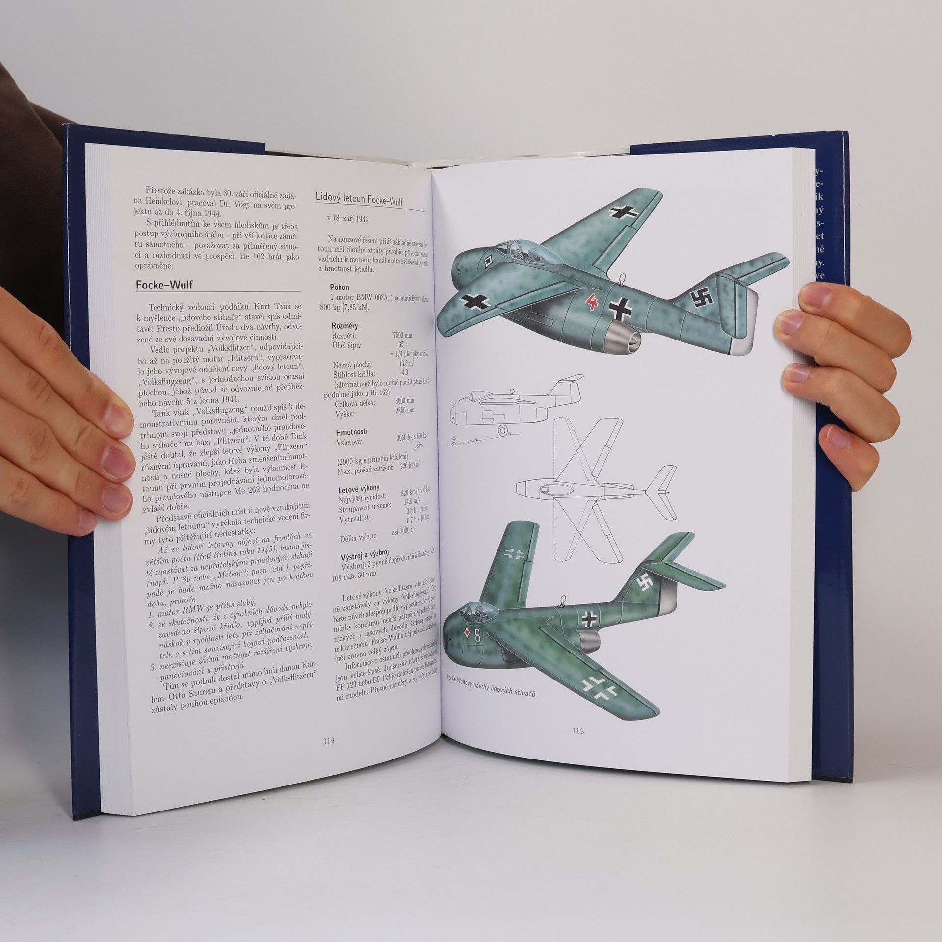 Walter Schick Tajné projekty Luftwaffe. Stíhači 1939-1945