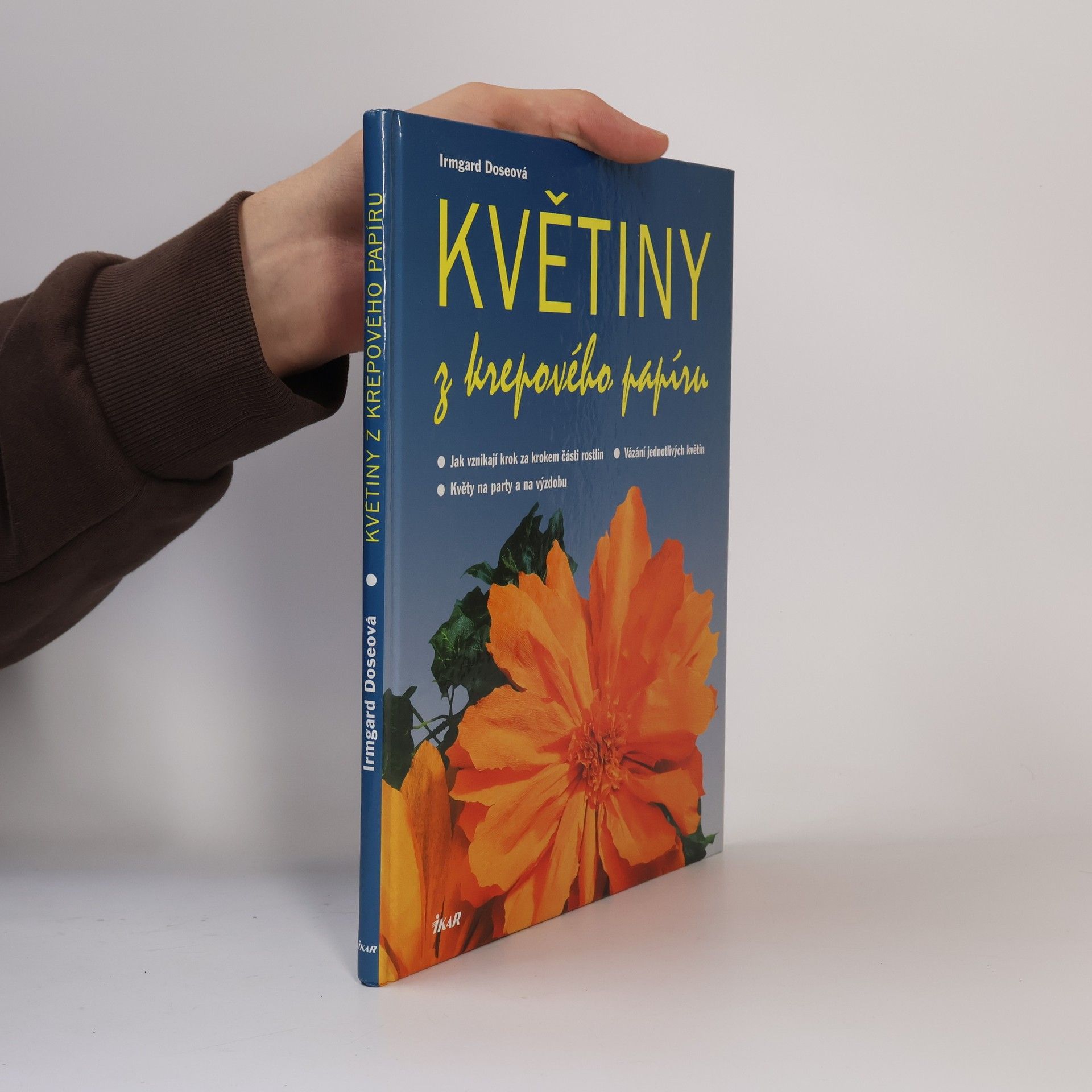 Irmgard Dose Květiny z krepového papíru