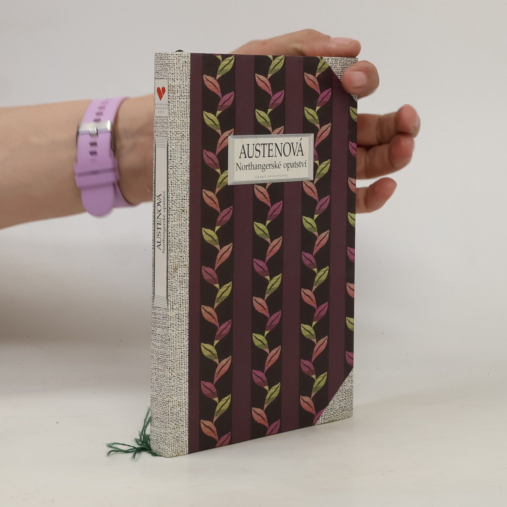 Jane Austen Northangerské opatství