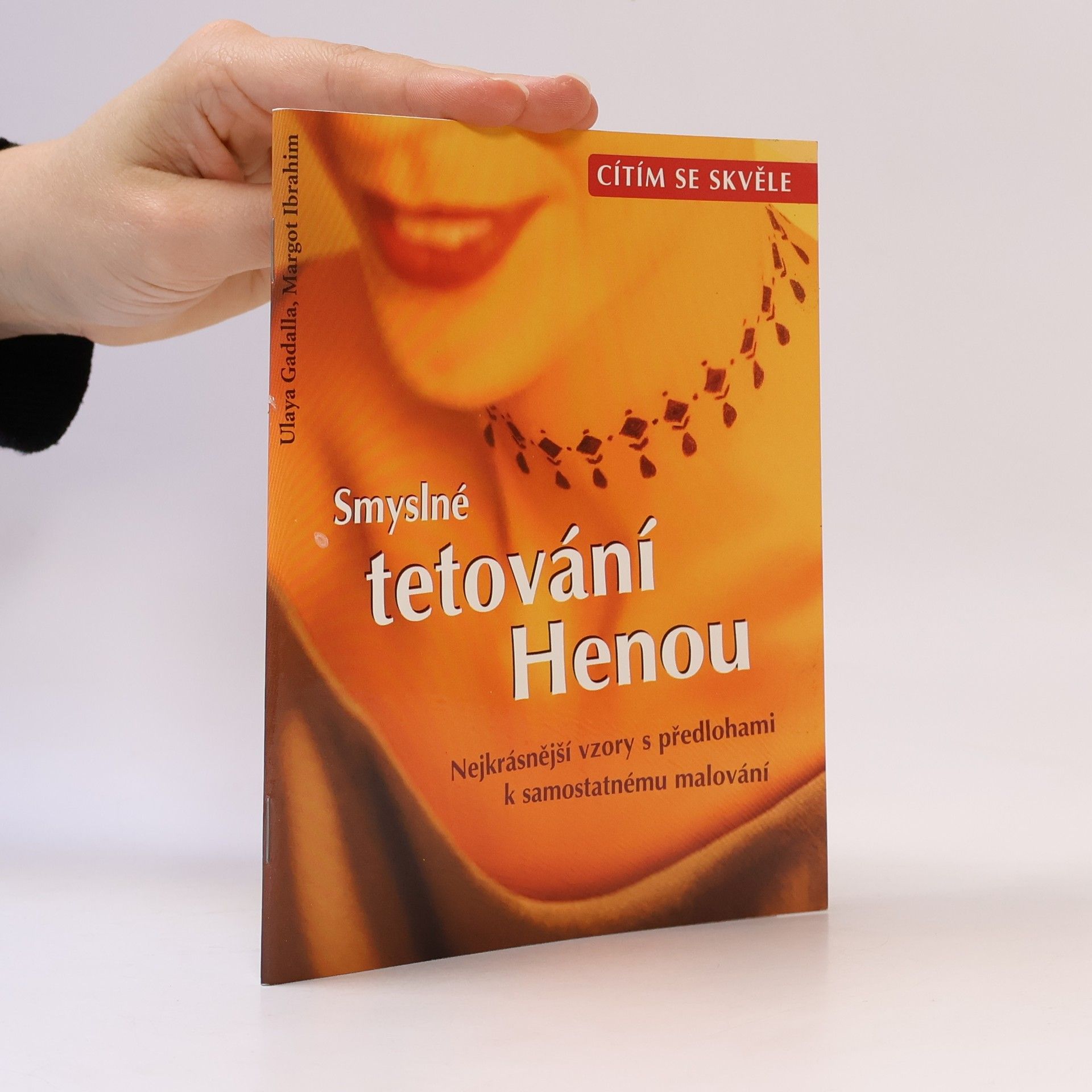 Smyslné tetování Henou
