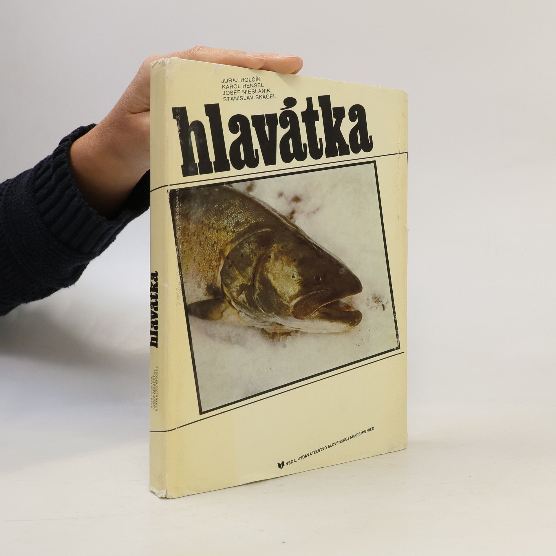 Hlavátka. Hucho hucho (Linnaeus, 1758)