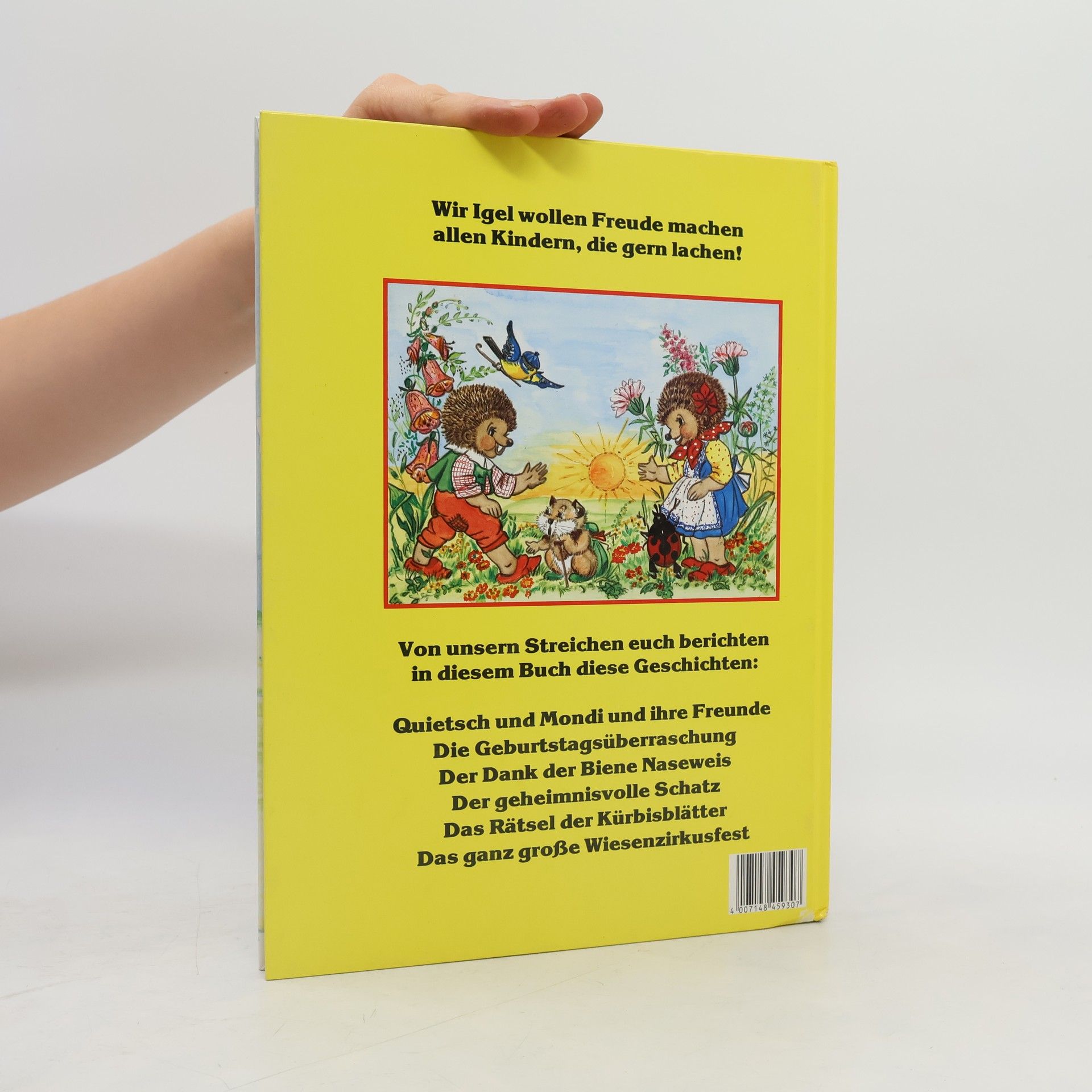Autorenkollektiv Die Abenteuer der Familie Igel