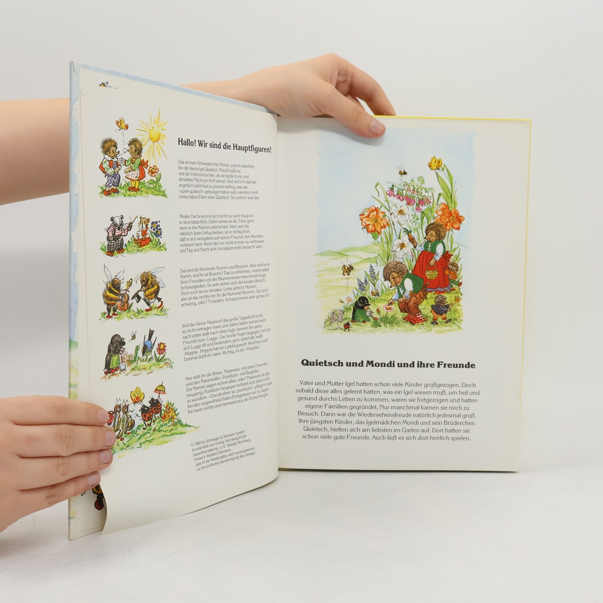 Autorenkollektiv Die Abenteuer der Familie Igel