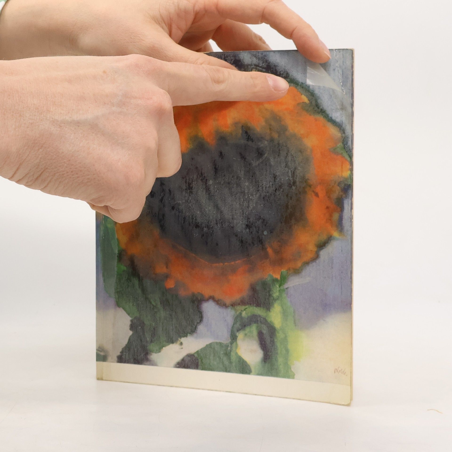 Emil Nolde Gedächtnisausstellung Emil Nolde