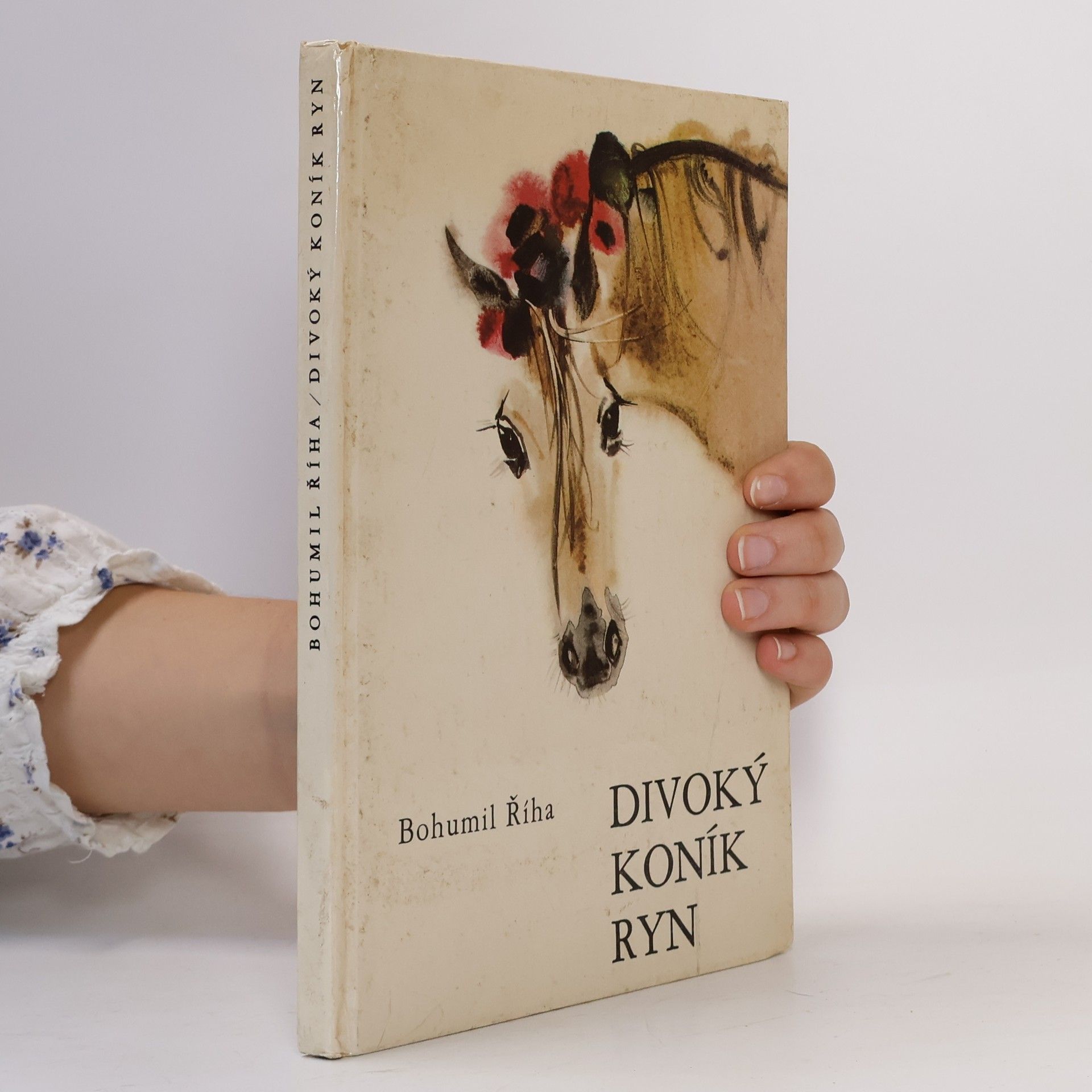 Bohumil Říha Divoký koník Ryn