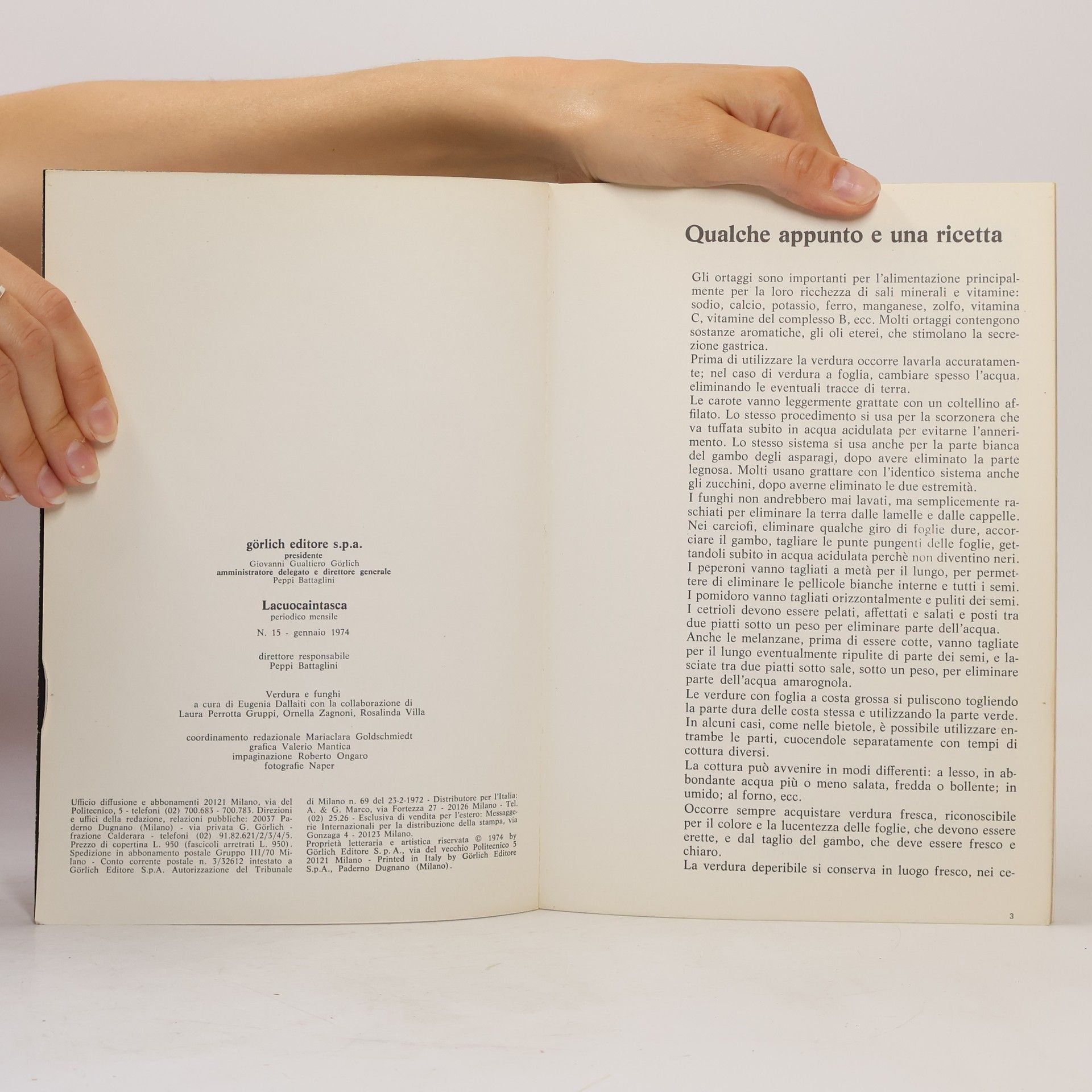 Autores varios Lacucaintasca 15. Verdure e funghi