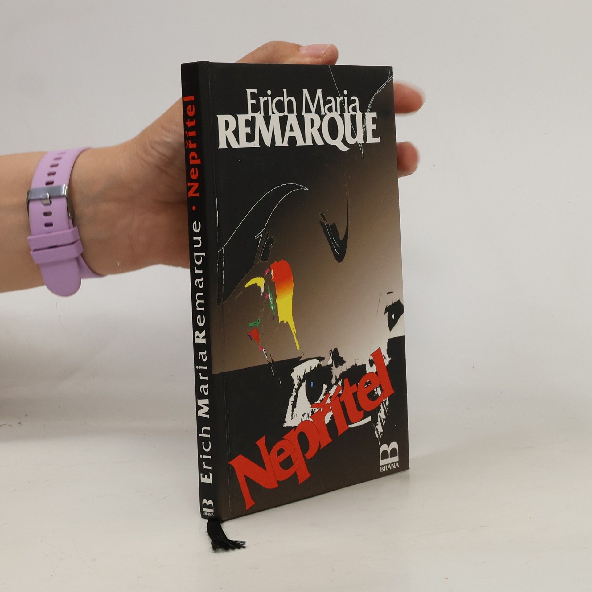 Erich Maria Remarque Nepřítel