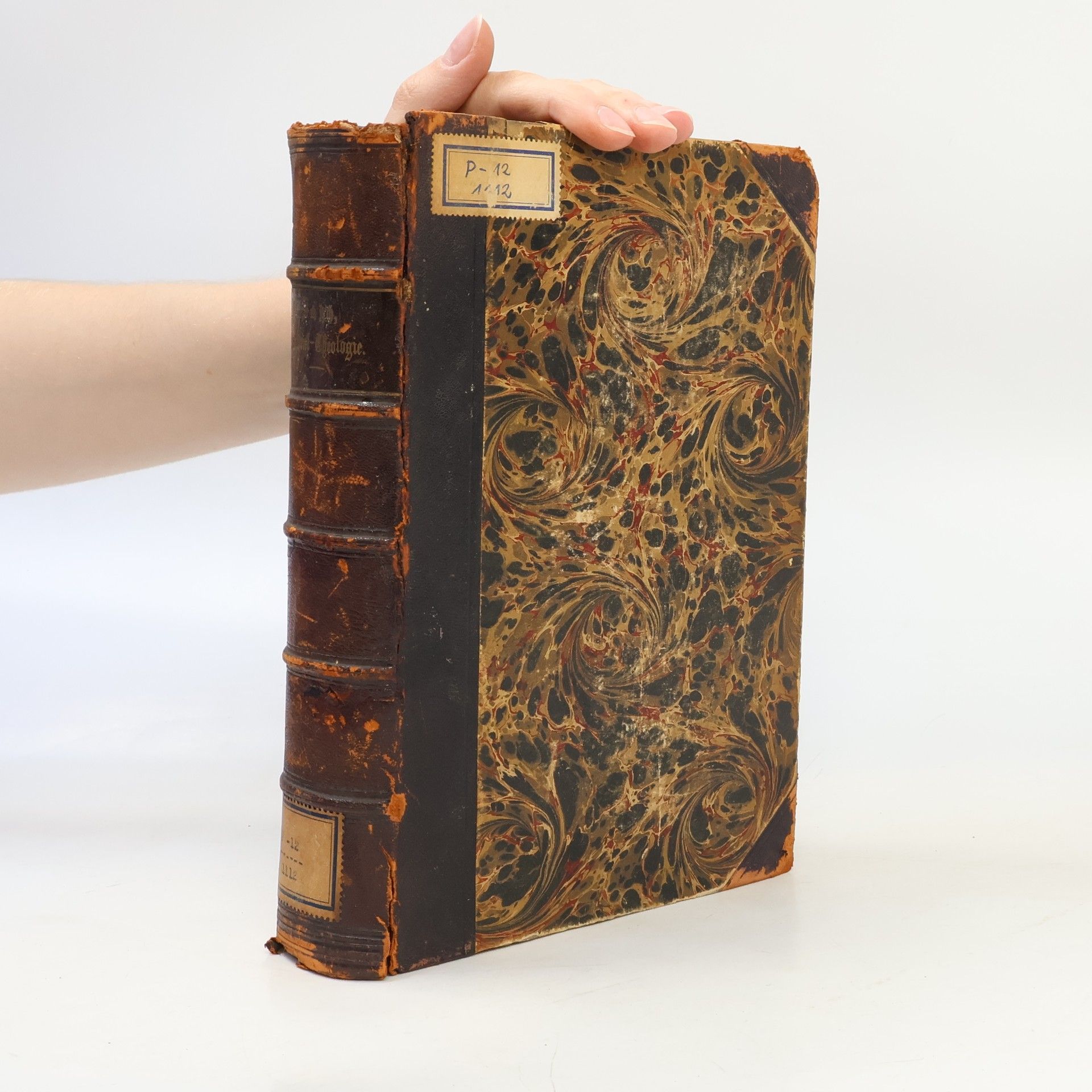 Ignaz Schüch Handbuch der Pastoral-Theologie