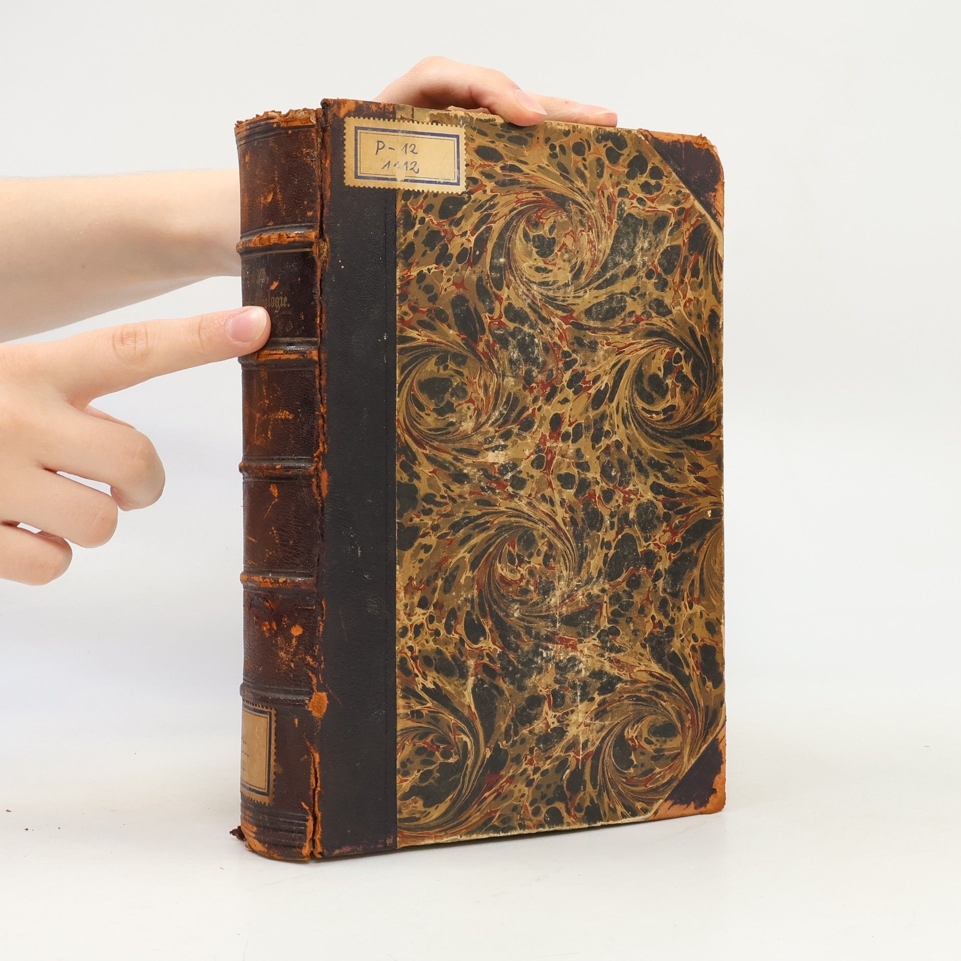 Ignaz Schüch Handbuch der Pastoral-Theologie